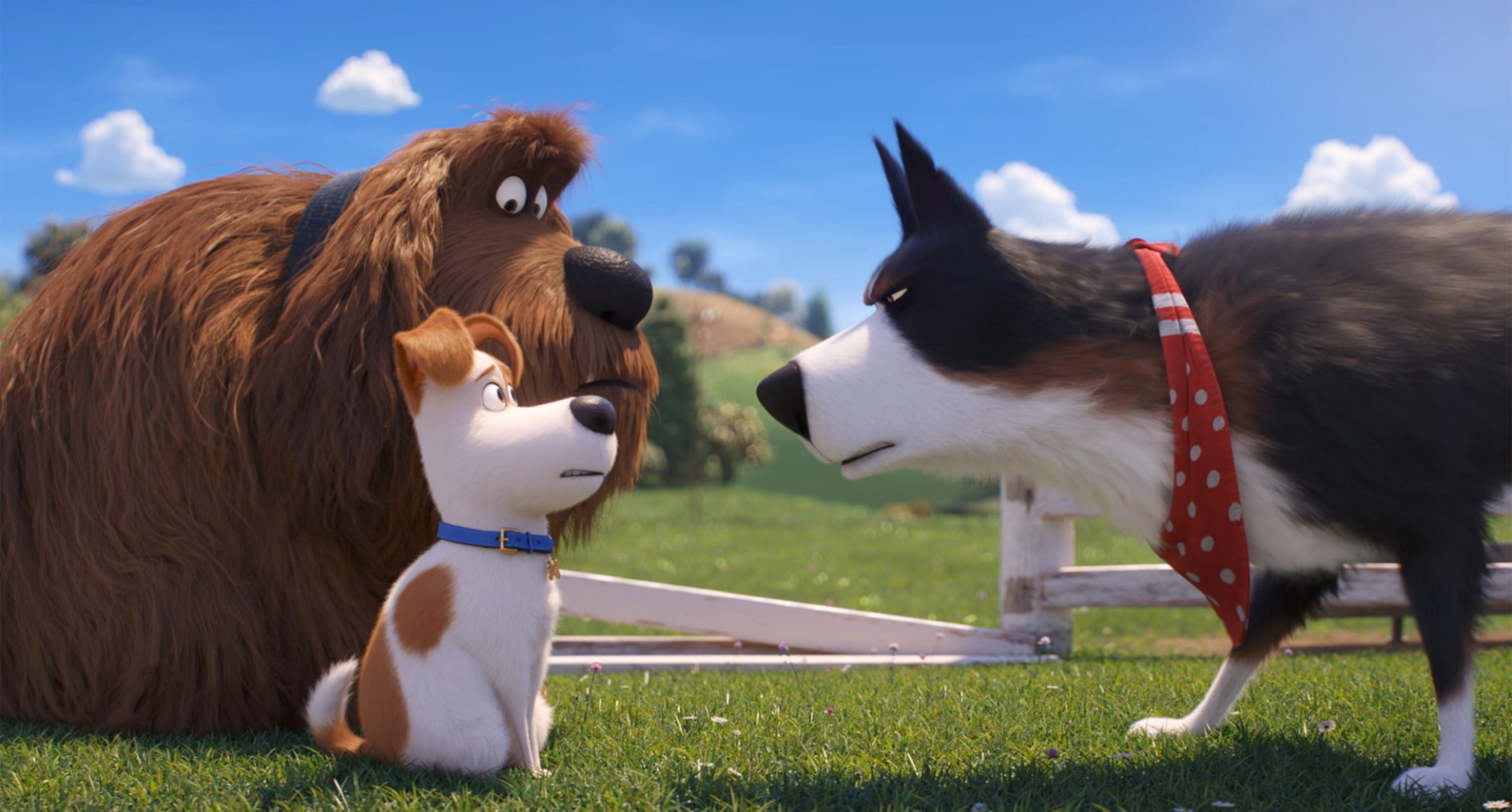 2K, Movie, The Secret Life of Pets 2, HD Wallpaper