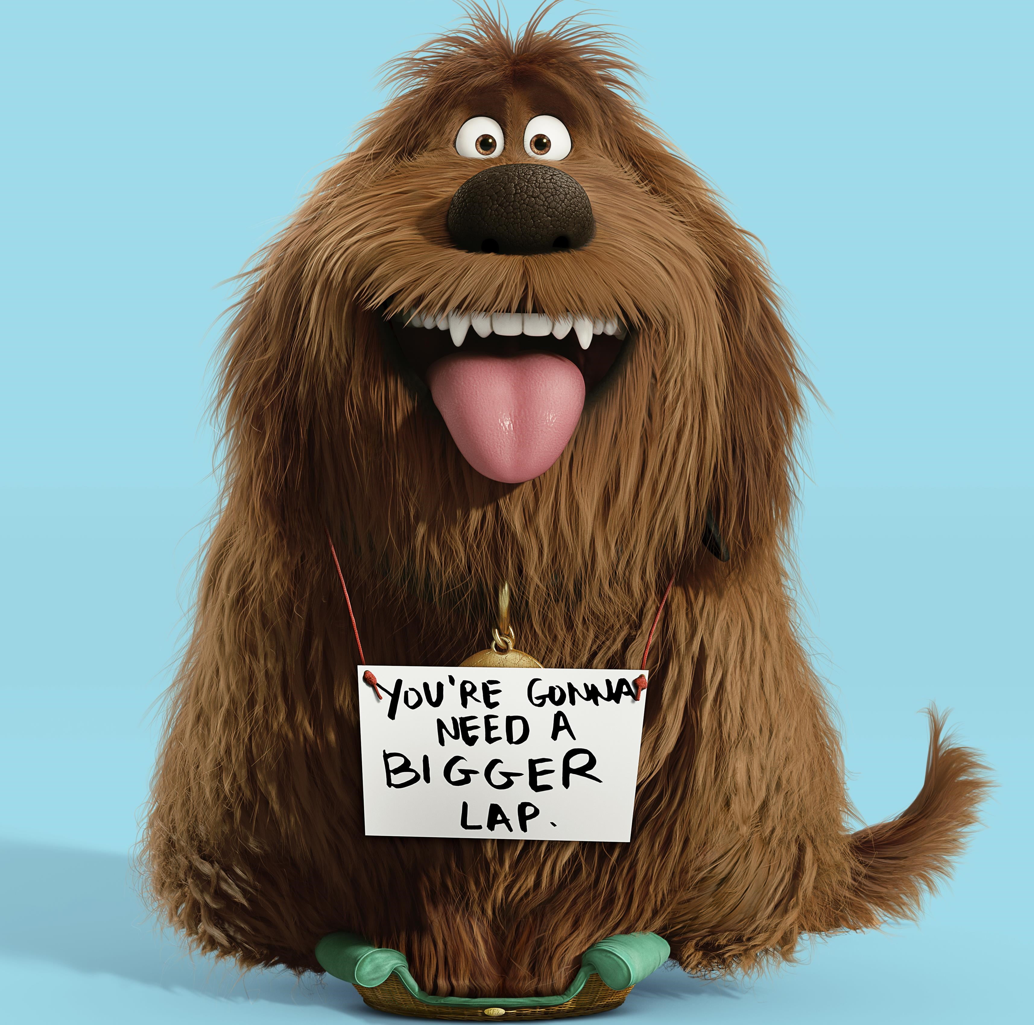no people, western script, communication, representation, creativity, hair, animal, animated movies, movies, cartoons, blue, message, colored background, HD Wallpaper