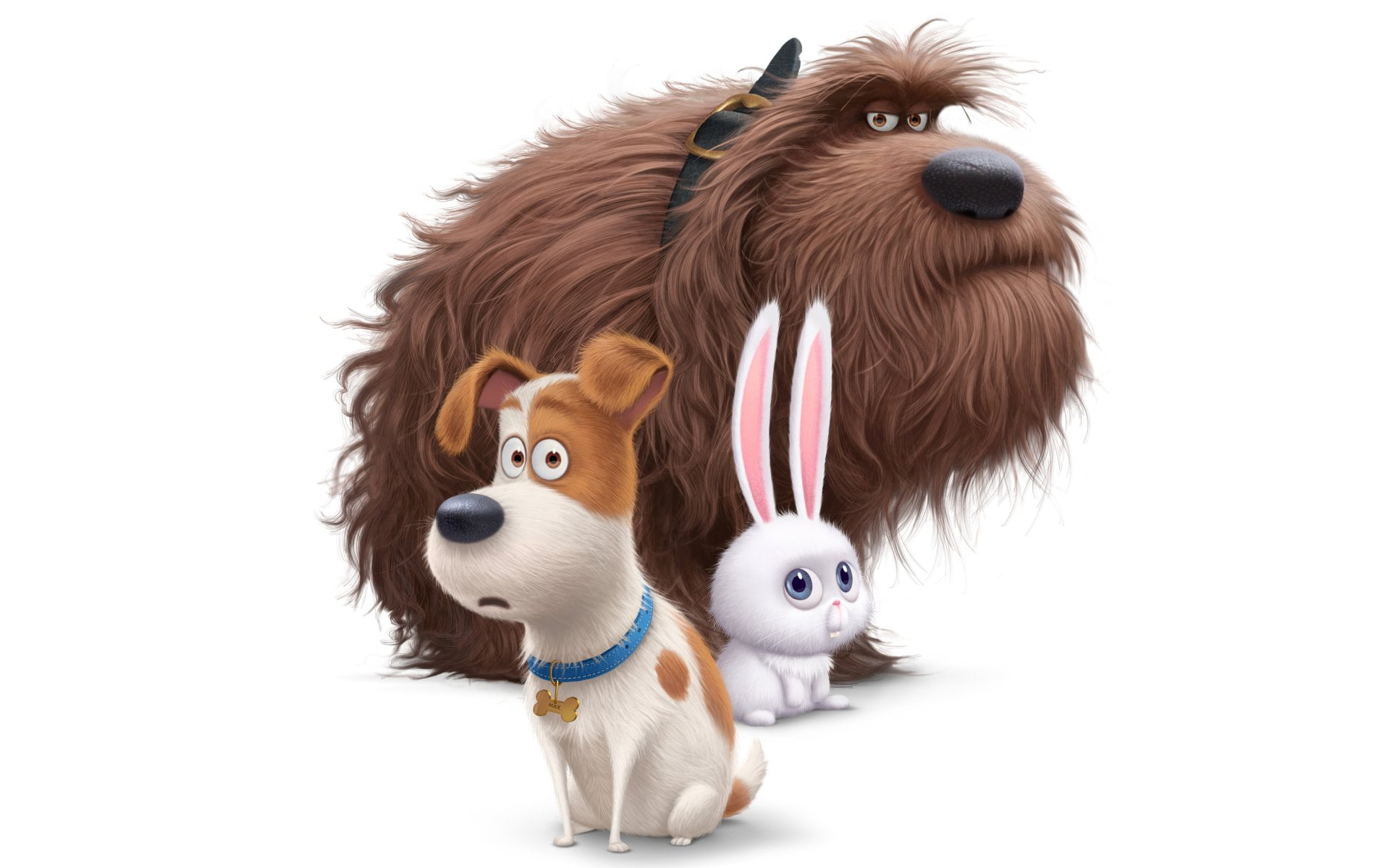 animal themes, small, vertebrate, cut out, no people, brown, indoors, stuffed toy, two animals, 1080P, group of animals, domestic, Movie, domestic animals, HD Wallpaper