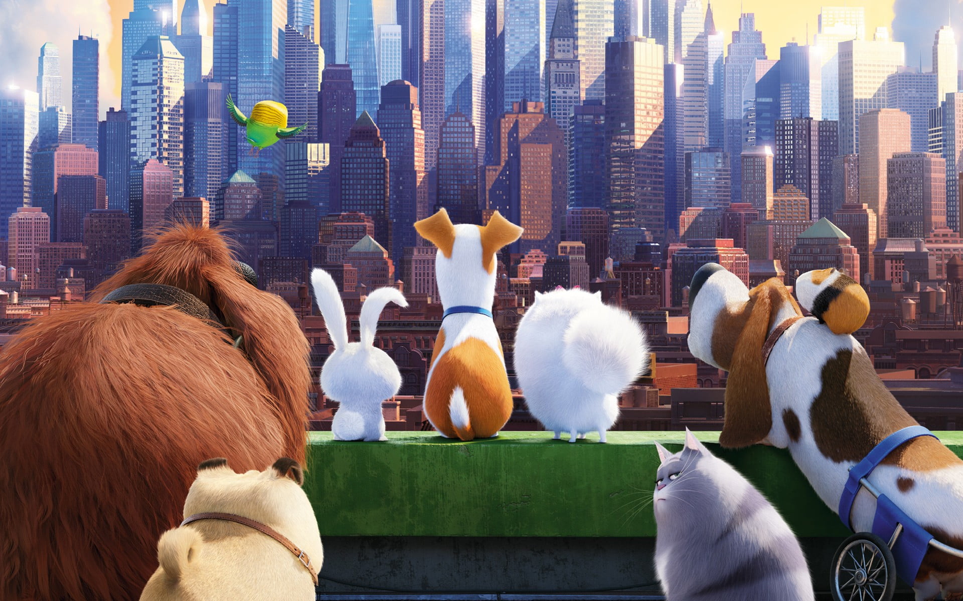 office building exterior, rear view, building, vertebrate, mammal, animal themes, group of animals, architecture, 1080P, cartoons, real people, building exterior, HD Wallpaper