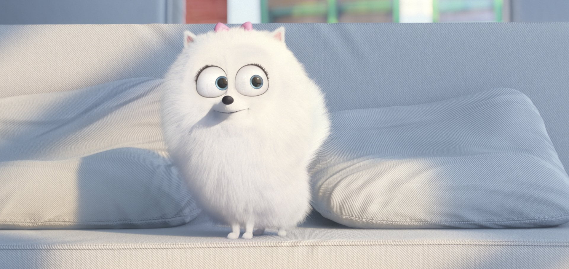Movie, Dog, softness, fun, Pillow, mammal, no people, looking at camera, 1080P, furniture, sitting, Gidget (THe Secret Life Of Pets), domestic animals, HD Wallpaper