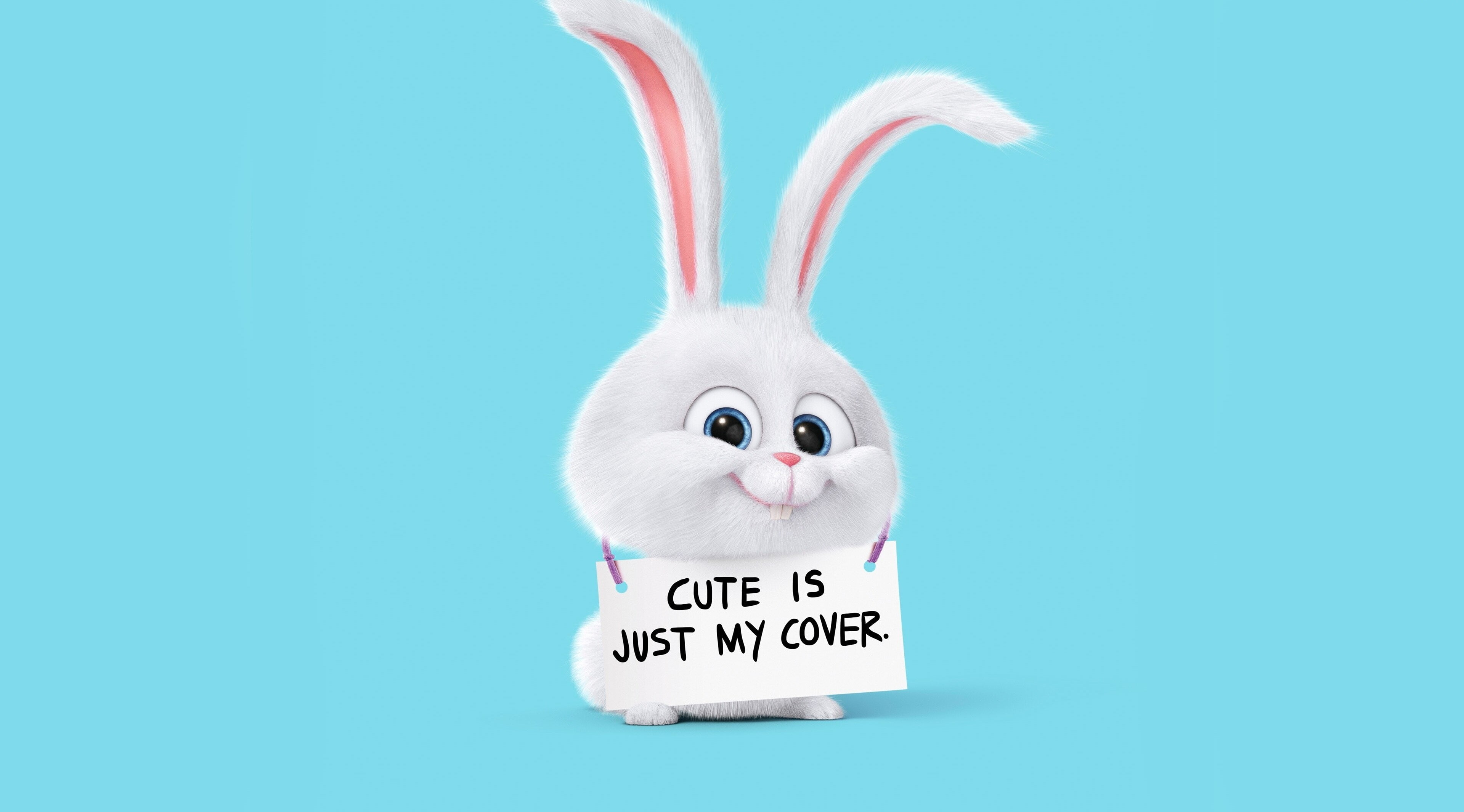 studio shot, communication, animal, animal body part, christmas, blue background, no people, fun, indoors, mammal, emotion, the secret life of pets 4k hd   download, HD Wallpaper