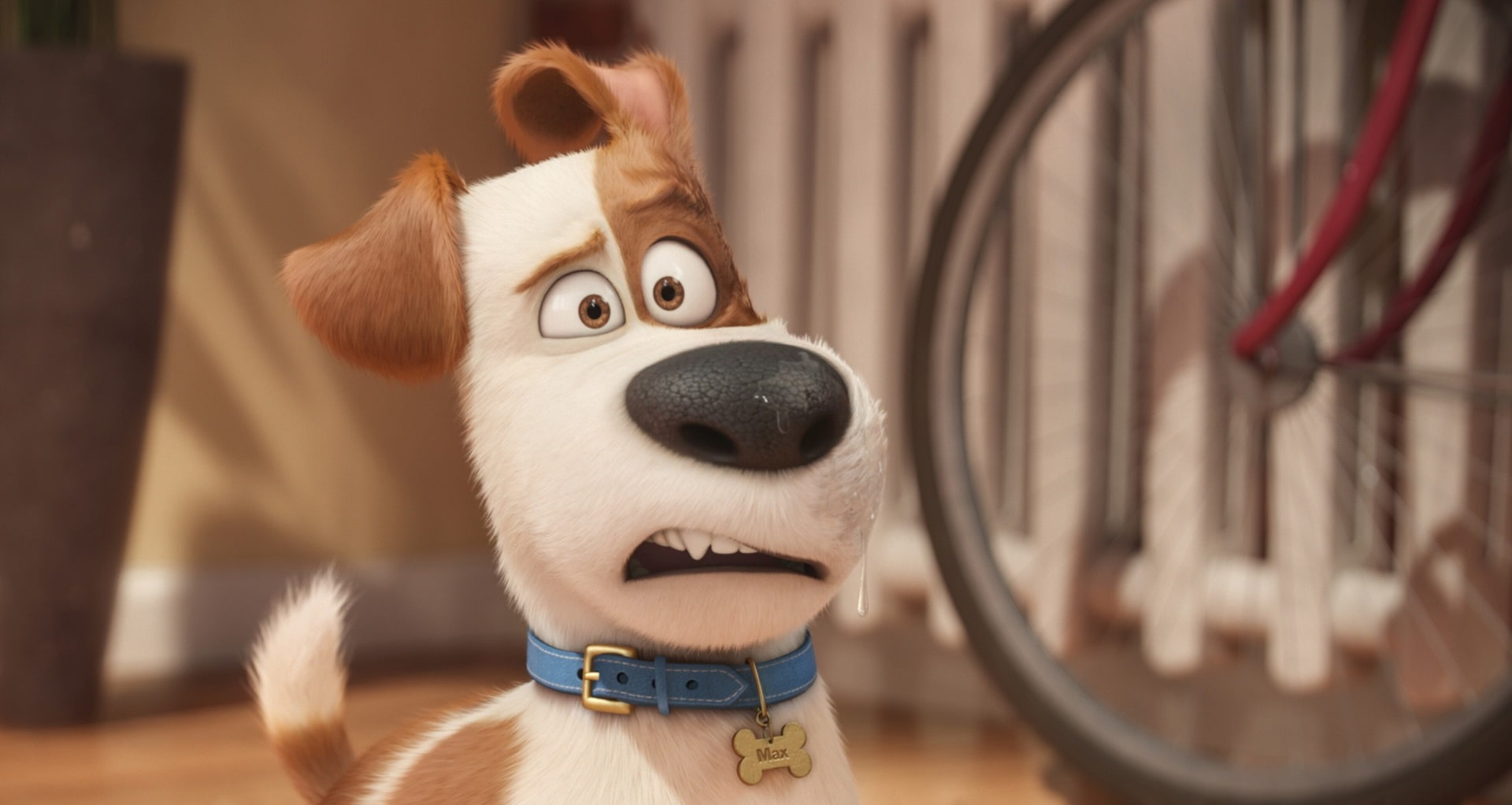 canine, pets, fun, stuffed toy, one animal, 1080P, animal themes, mammal, representation, indoors, domestic animals, close-up, small, animal, animal representation, HD Wallpaper