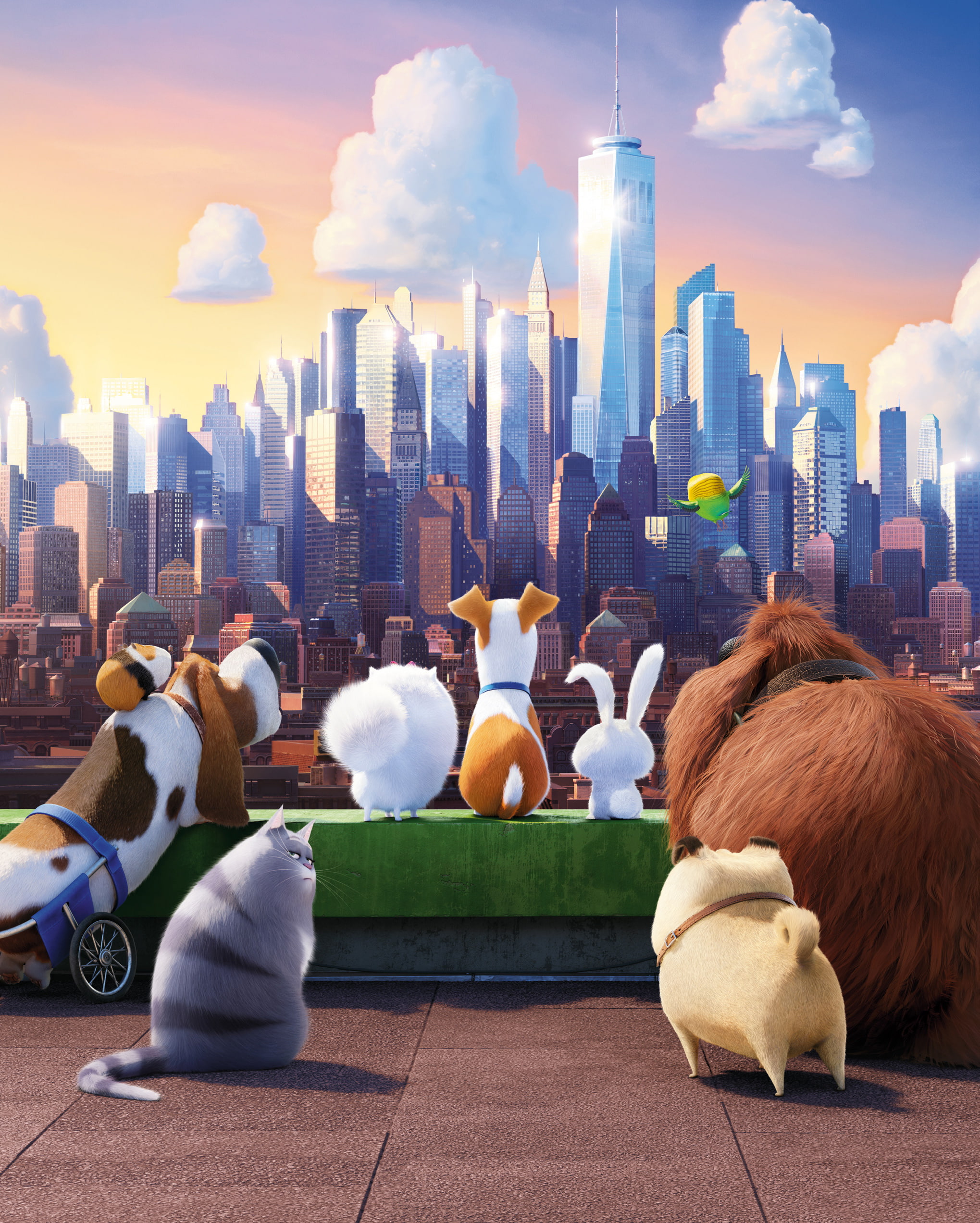 The Secret Life Of Pets, 2016 Movies, 1080P, Phone HD Wallpaper