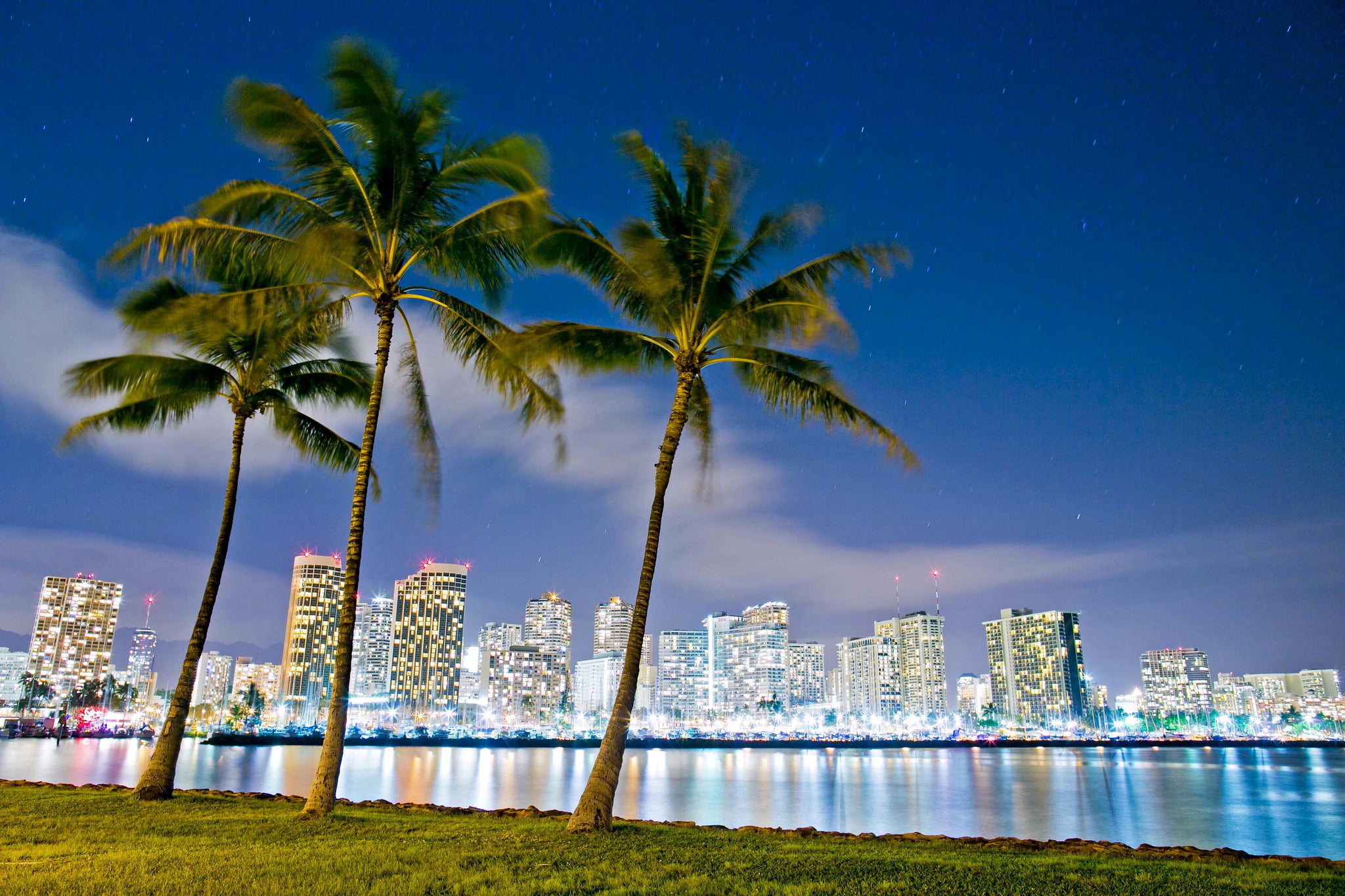 skyscraper, tropical climate, tree, lights, night, built structure, nature, architecture, Ala Moana, landscape, trees, leafed, 1080P, beach Park, travel destinations, HD Wallpaper