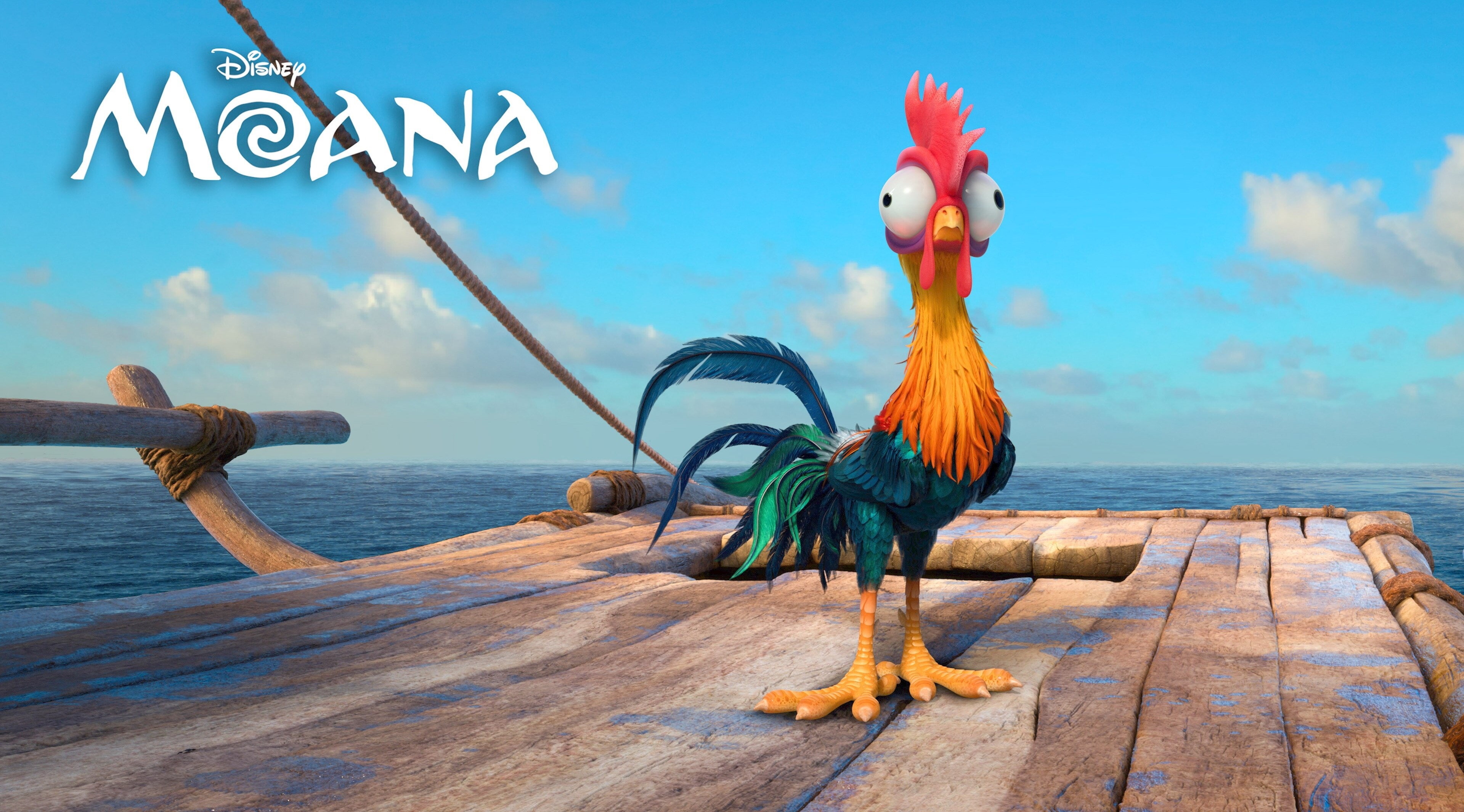 moana 4k full  for desktop, animal, beauty in nature, rooster, animal themes, day, outdoors, water, nature, sea, animal representation, no people, blue, HD Wallpaper