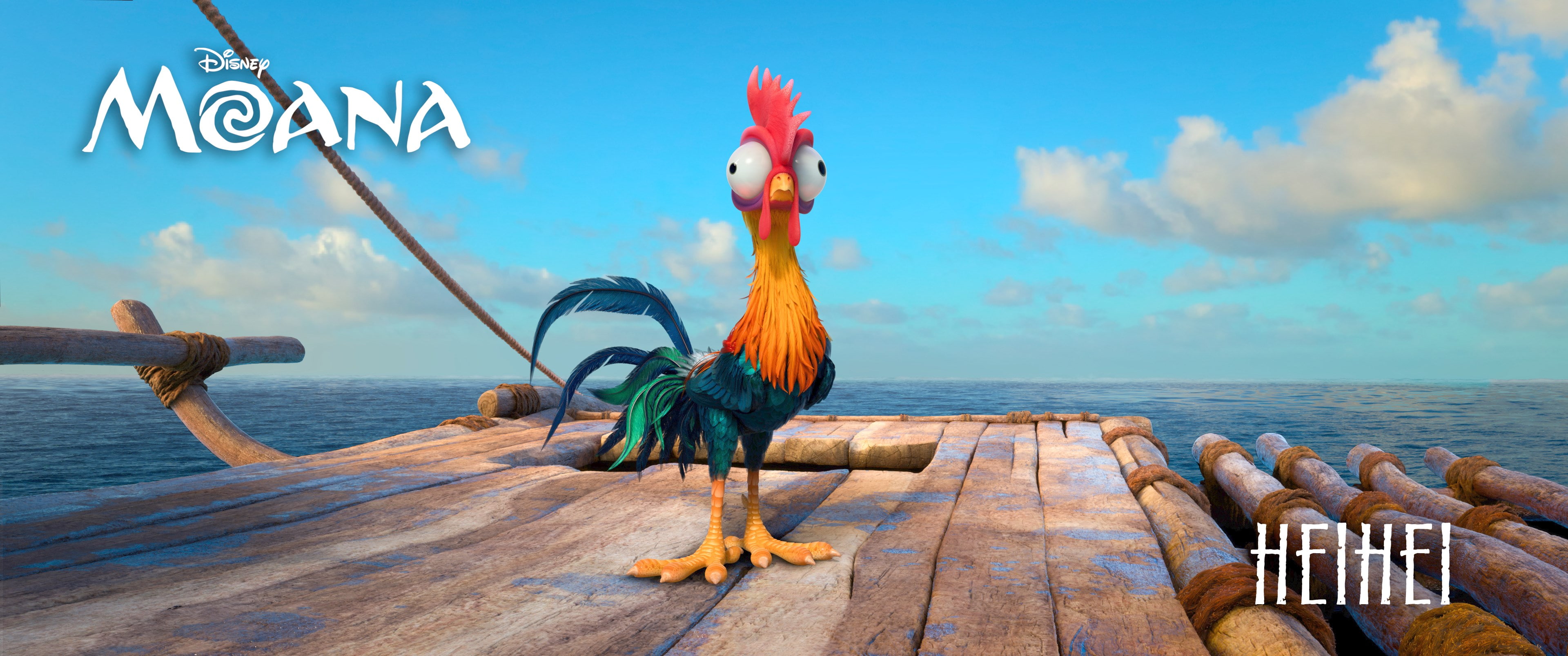 animal themes, animal, domestic animals, bird, 4K, vertebrate, chicken - bird, moana, nature, horizon over water, cloud - sky, day, water, one animal, HD Wallpaper