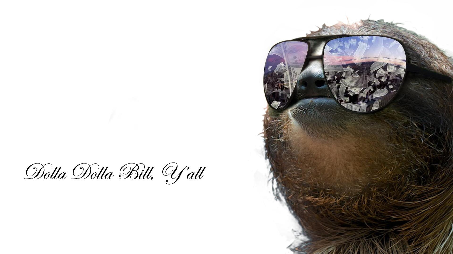 quote, 1080P, typography, sunglasses, sloths, digital art, glasses, HD Wallpaper