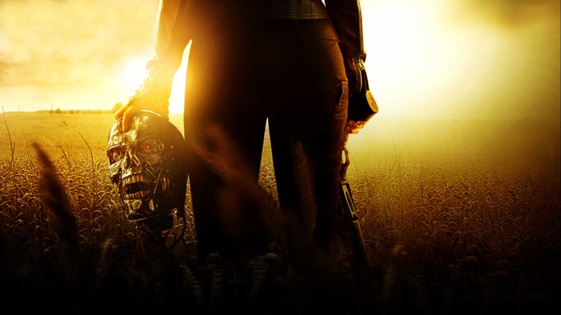 Terminator, sunset, field, weapon, sky, mammal, clothing, sunlight, domestic, lens flare, domestic animals, 1080P, pets, leisure activity, real people, HD Wallpaper