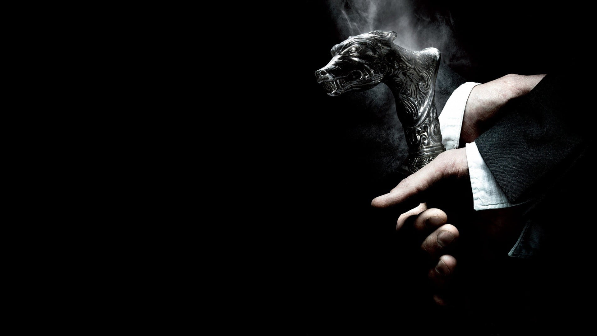 domestic animals, indoors, dark, werewolf, one person, obscured face, standing, black background, adult, women, copy space, hairstyle, men, 1080P, mammal, HD Wallpaper
