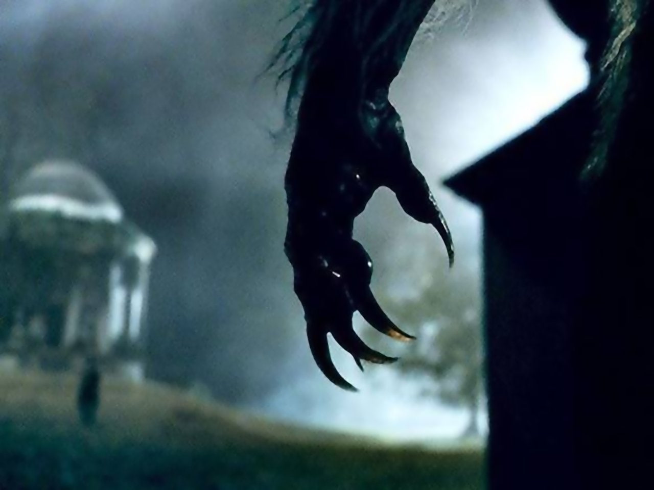 Movie, The Wolfman, 720P, HD Wallpaper
