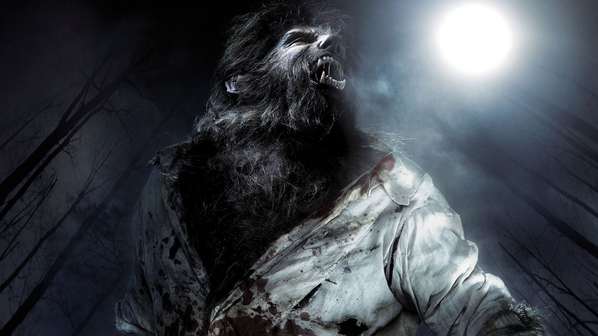 celebration, wolfman, indoors, black background, night, ape, monster - fictional character, spooky, one animal, people, werewolf, 1080P, evil, halloween, HD Wallpaper