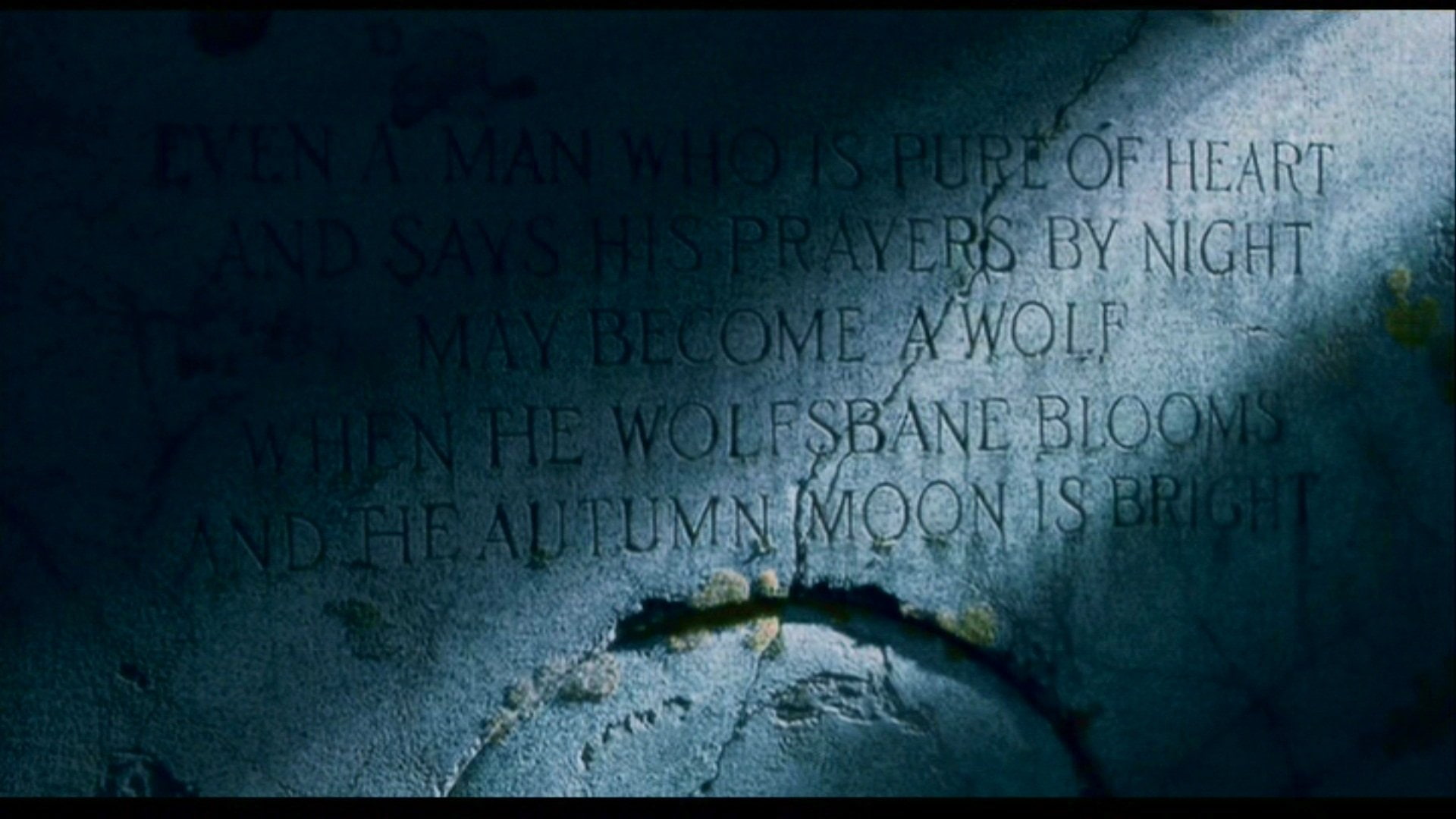 Movie, 1080P, The Wolfman, HD Wallpaper