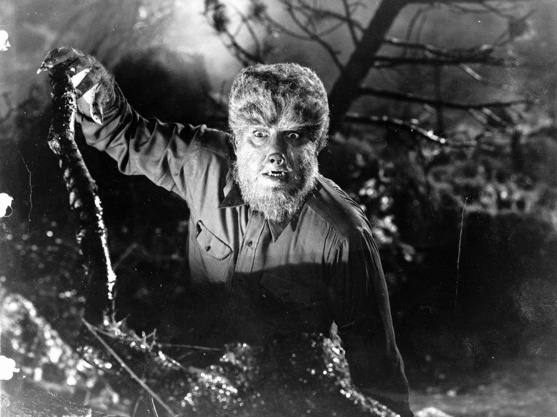 the, dark, drama, horror, thriller, werewolf, wolfman, 1080P, HD Wallpaper