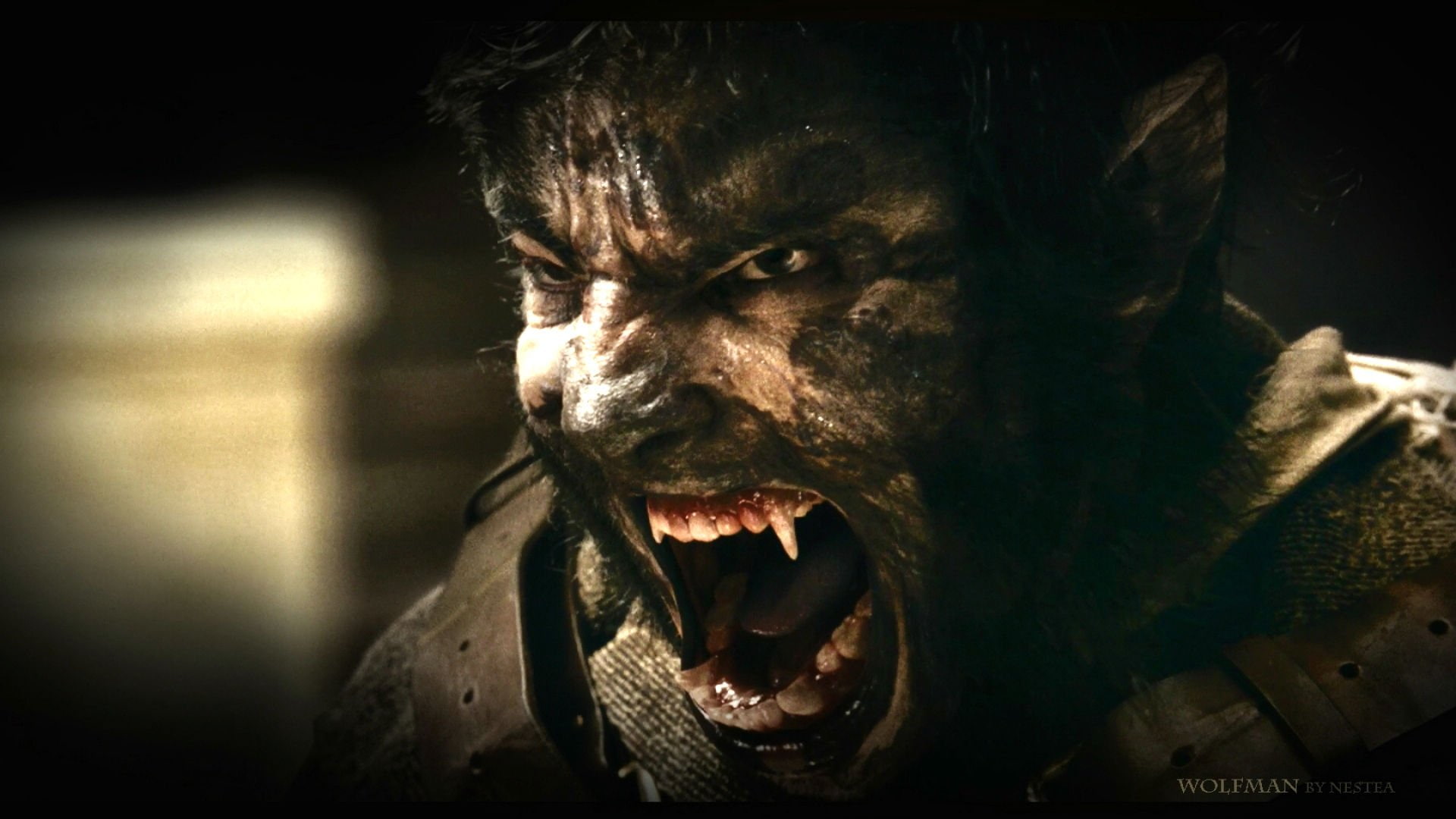thriller, drama, horror, werewolf, dark, the, wolfman, 1080P, HD Wallpaper