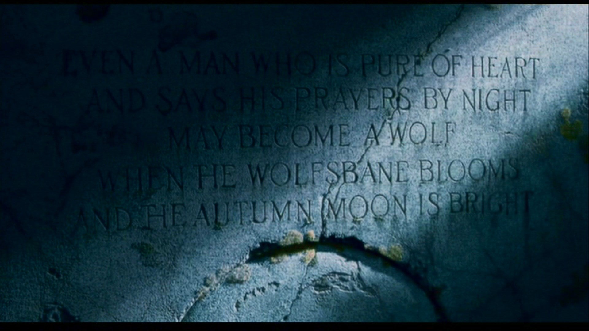 the wolfman, 1080P, HD Wallpaper