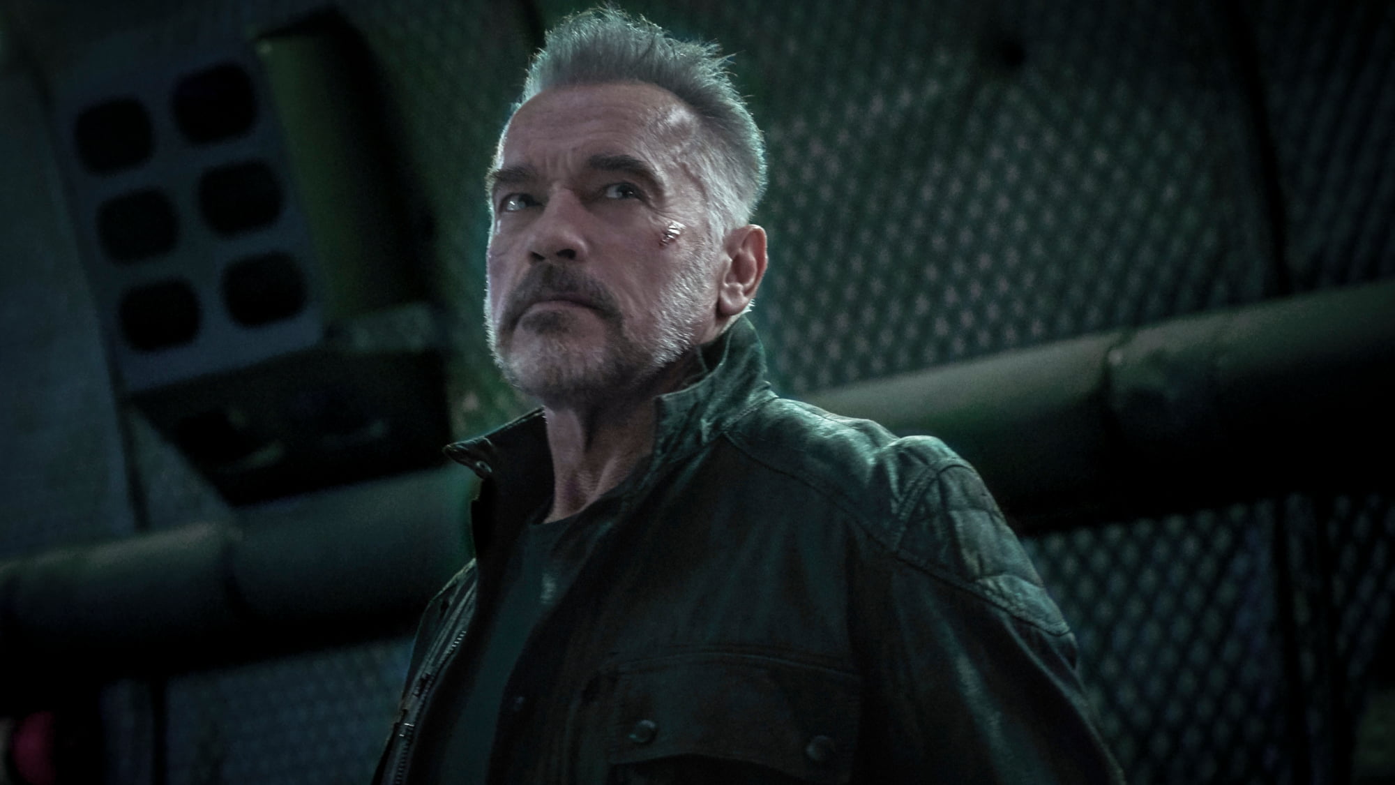 1080P, Arnold Schwarzenegger, Terminator: Dark Fate, Terminator, HD Wallpaper