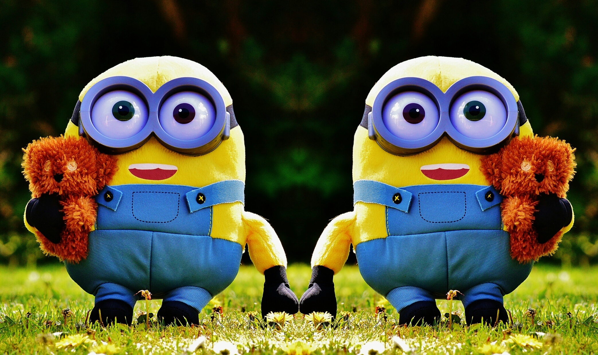 two, close-up, cute, representation, funny, toy, fun, toys, nature, mirroring, plush, small, focus on foreground, 1080P, soft toy, daytime, field, grass, HD Wallpaper