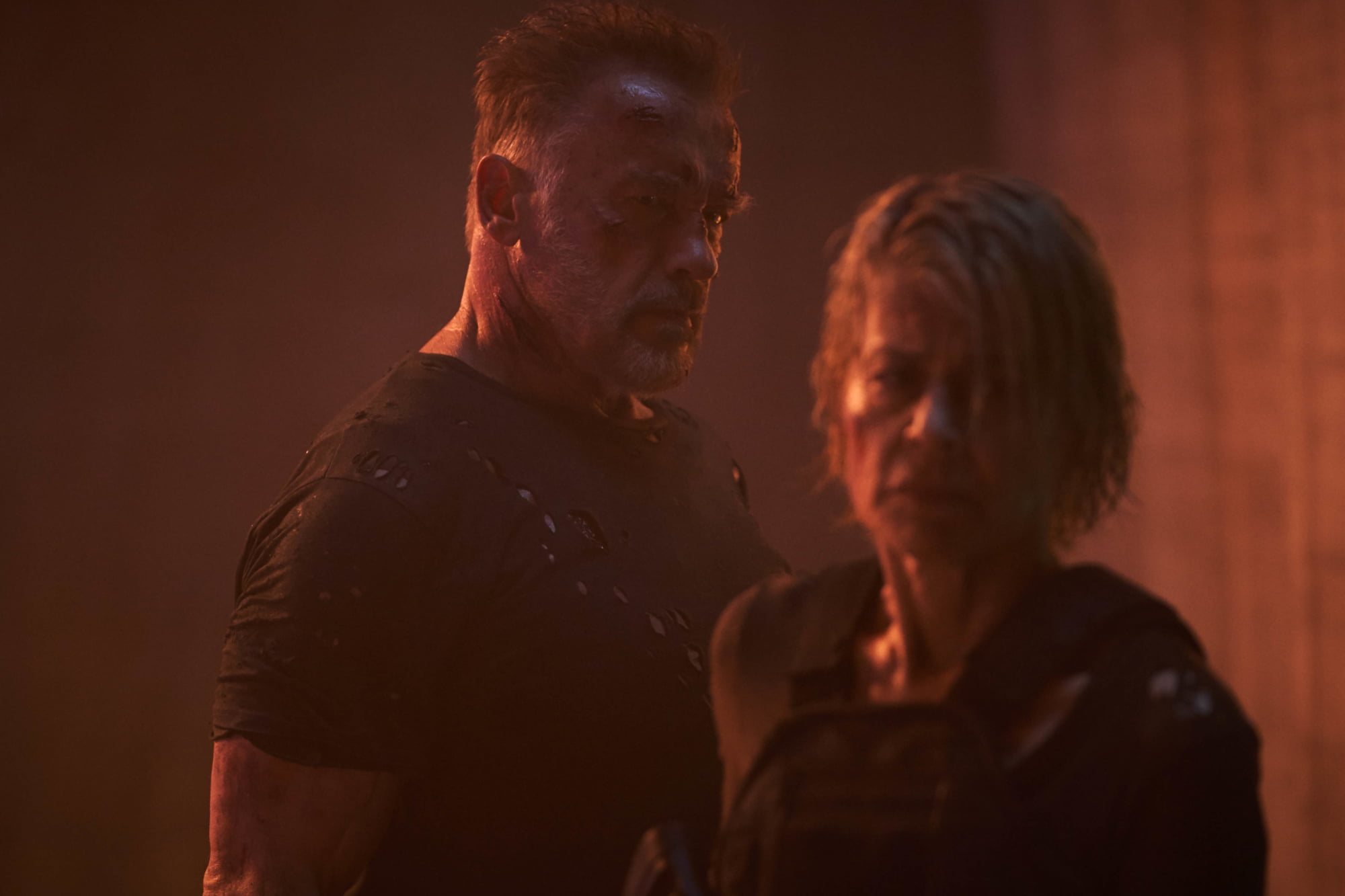 Arnold Schwarzenegger, Terminator, Sarah Connor, Terminator: Dark Fate, 1080P, Linda Hamilton, HD Wallpaper