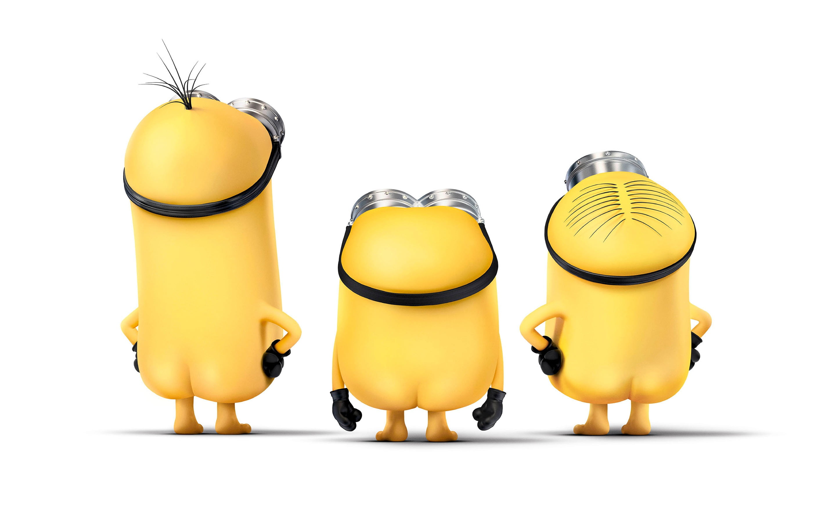 indoors, 2K, bird, copy space, animal themes, representation, group of objects, art and craft, food and drink, animated movies, animal representation, HD Wallpaper