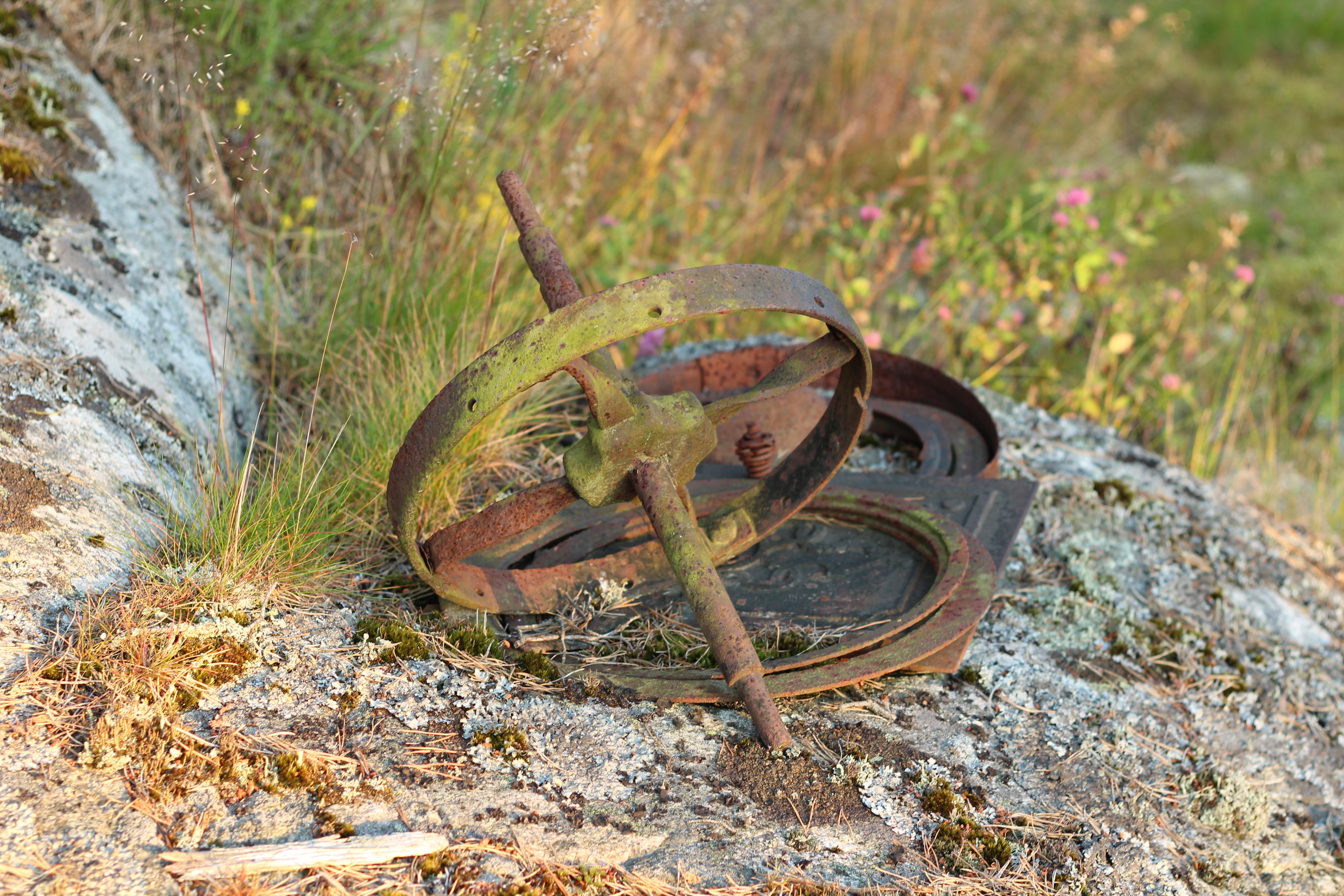solid, rock - object, 5K, old, plant, rusty, reptile, rock, bargain, no people, lizard, outdoors, wheel, focus on foreground, grass, full length, one animal, HD Wallpaper