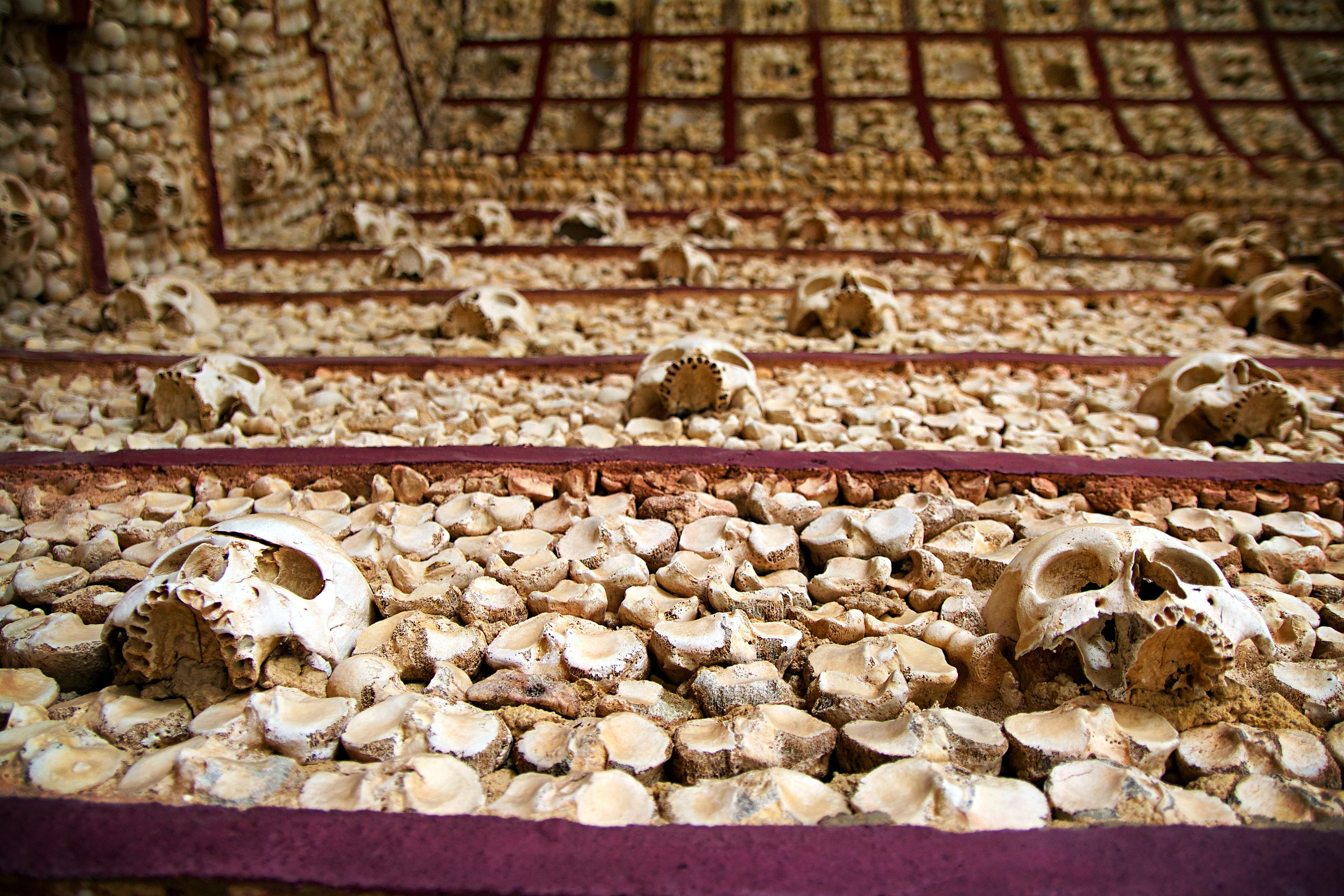 skull, focus on foreground, abundance, large group of objects, house of worship, places of interest, indoors, livestock, religion, facade, chapel, mammal, HD Wallpaper