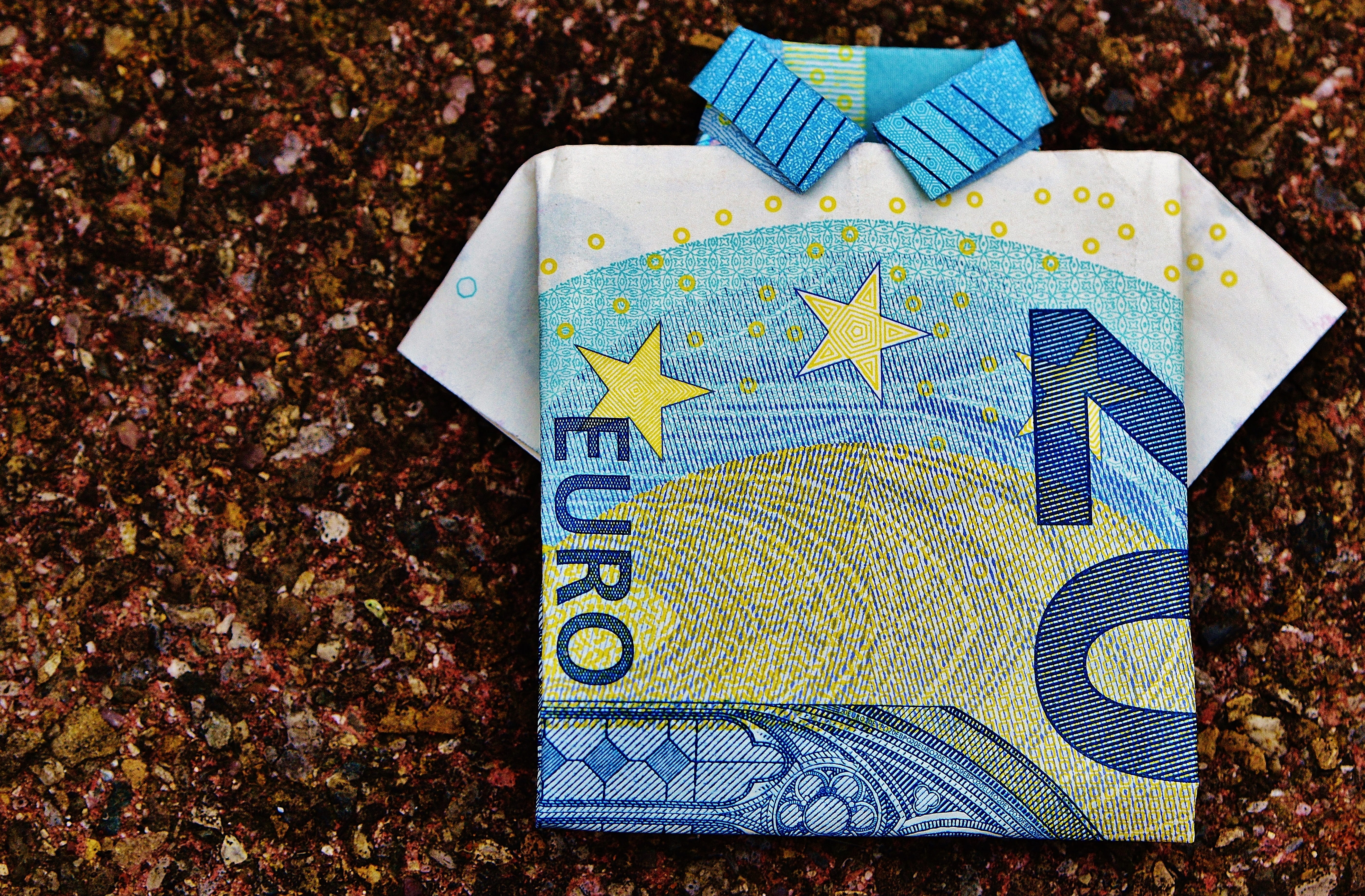 money, 5K, blue, land, close-up, dollar bill, gift, autumn, banknote, the last shirt, folded, plant part, polo, paper, creativity, shirt, pattern, leaf, HD Wallpaper