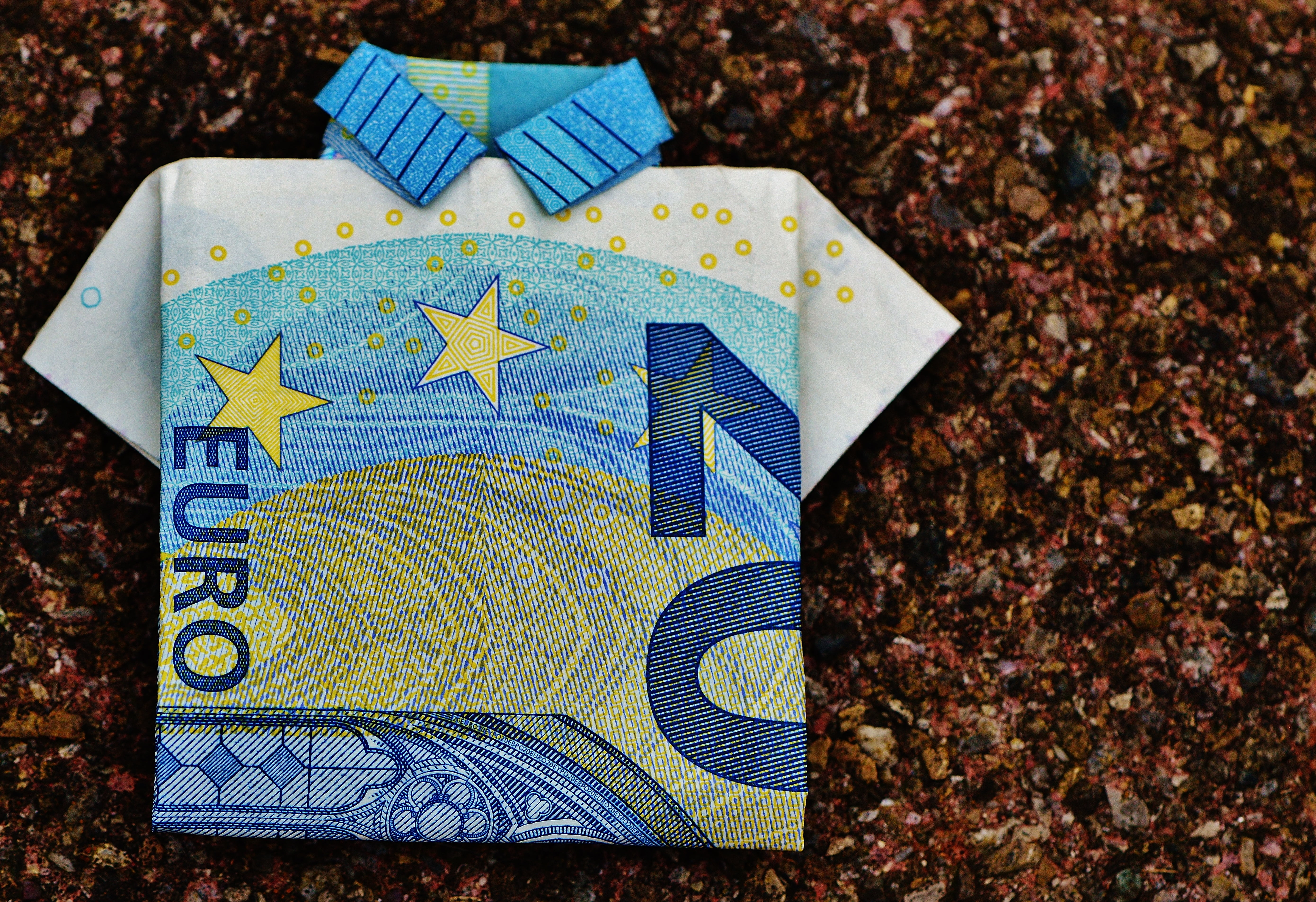 floral pattern, no people, single object, textile, field, paper currency, nature, land, 20 euro, close-up, plant part, dollar bill, folding technique, leaf, HD Wallpaper