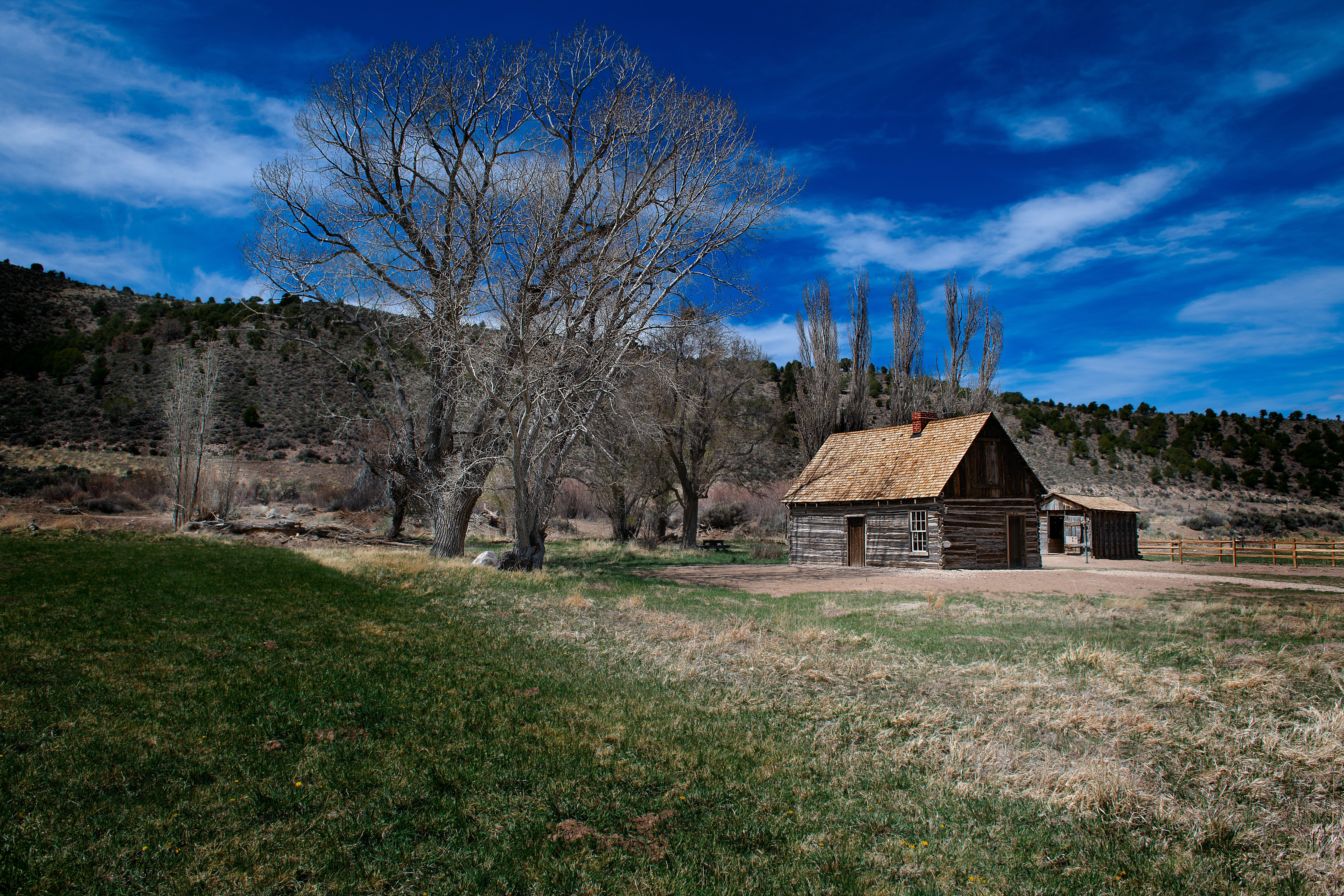 8K, nature, residential district, landscape, tree, field, butch cassidy home, environment, utah, green color, built structure, house, cabin, bare tree, HD Wallpaper