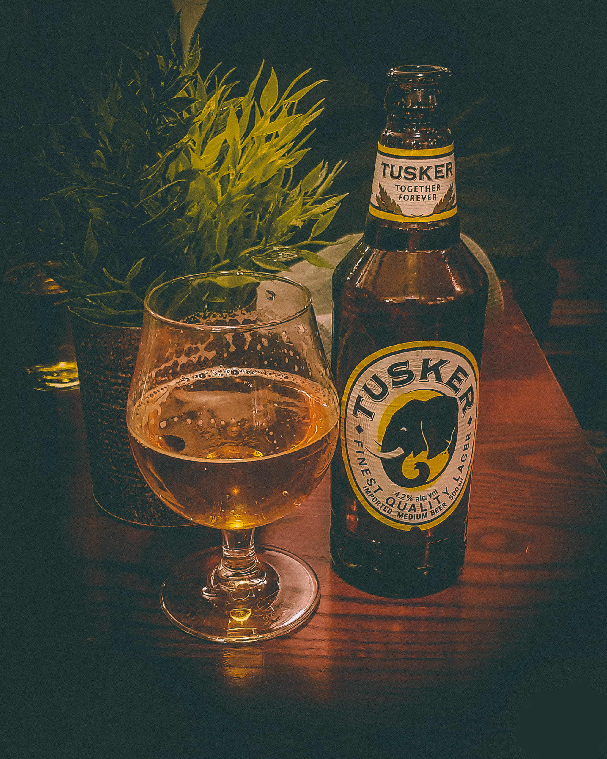 nairobi county, nature, wood - material, close-up, refreshment, 1080P, bottle, still life, glass, tusker, household equipment, food and drink, container, Phone HD Wallpaper