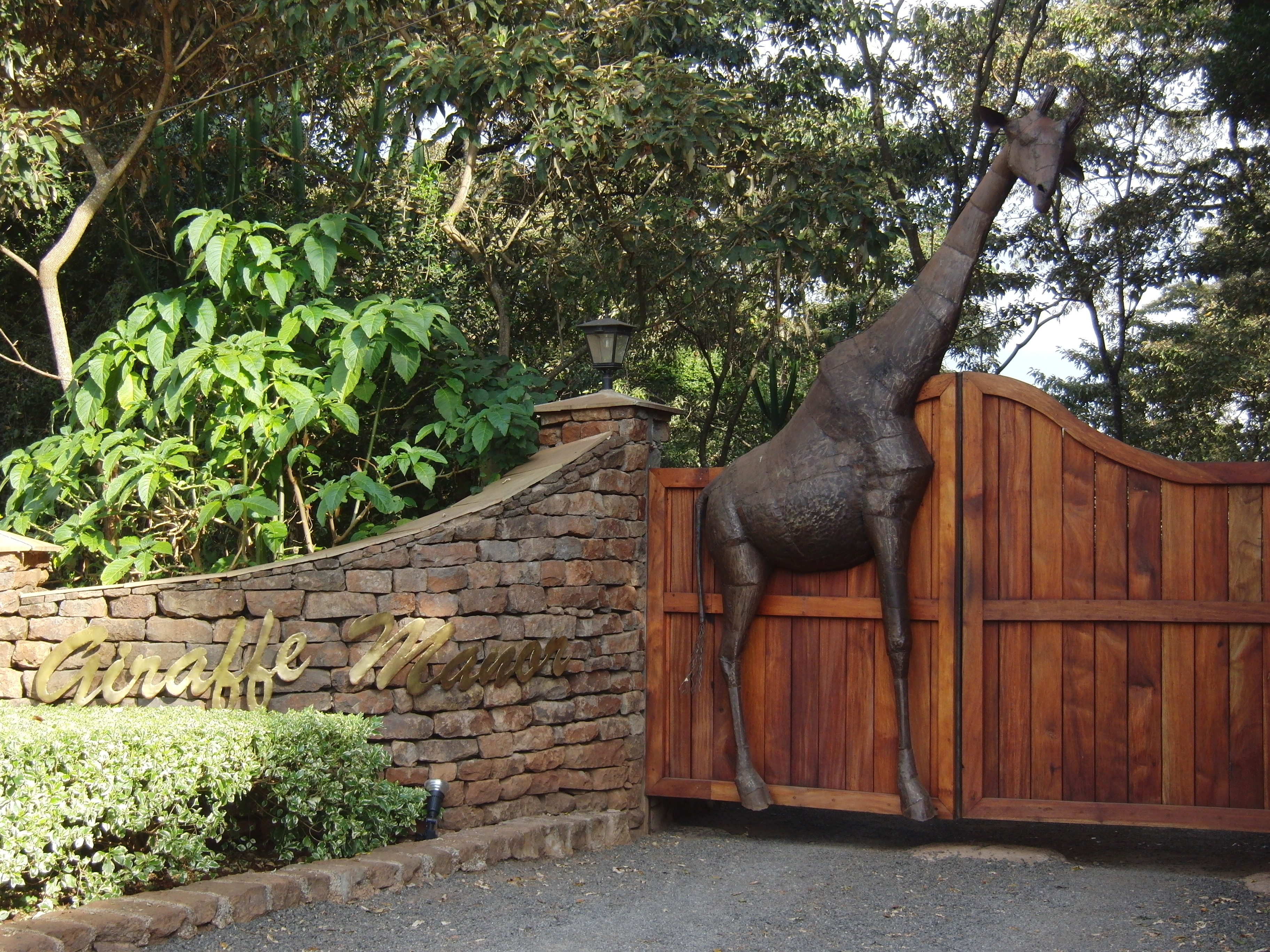 day, herd, species, park, architecture, reserve, one animal, 2K, building exterior, nature, plant, environment, wall - building feature, giraffe, stone wall, HD Wallpaper