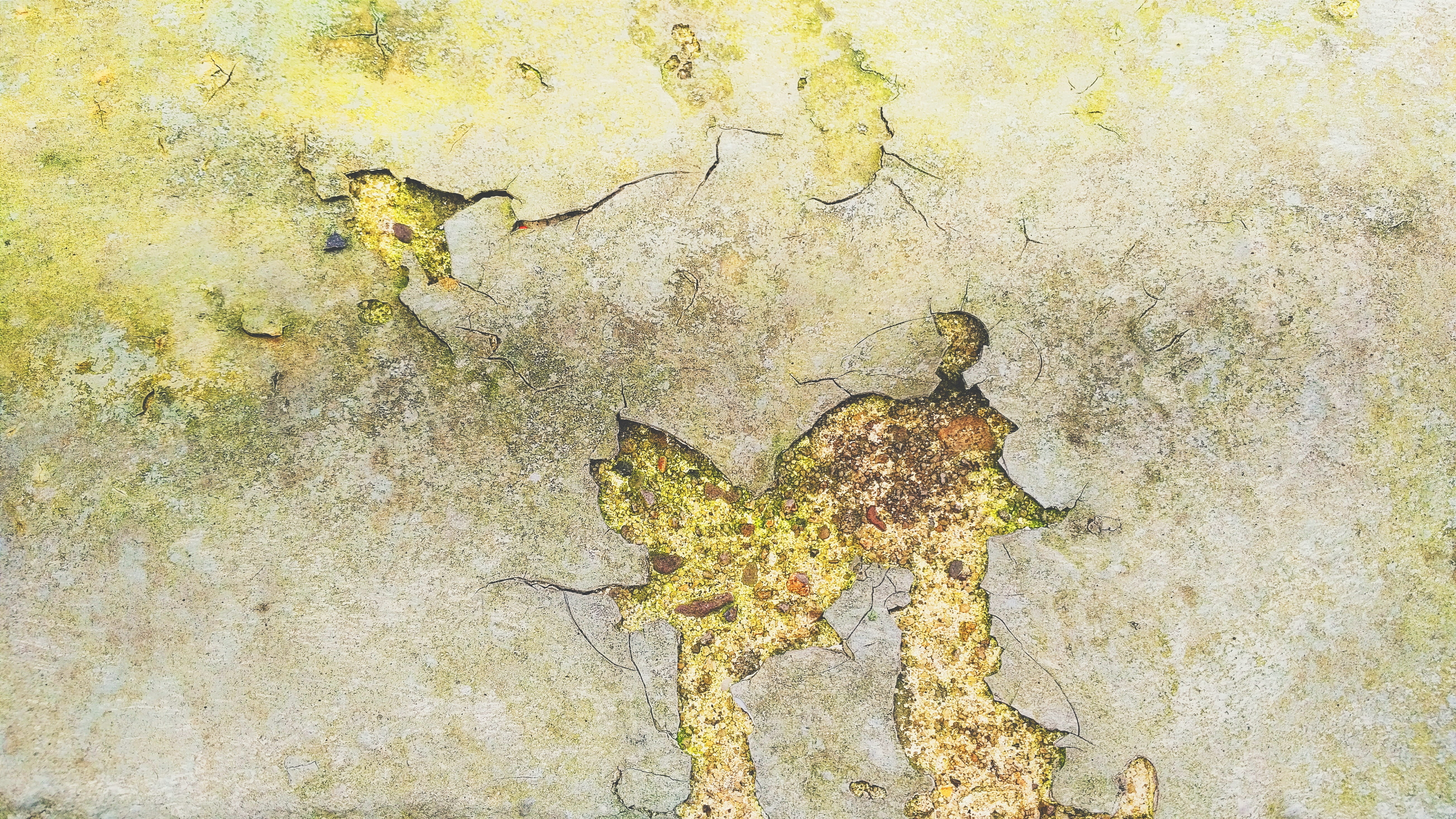 damaged, cracked, outdoors, close-up, cracks, ruined, decline, animals in the wild, background, pavementr, weathered, rough, texture, stone, HD Wallpaper