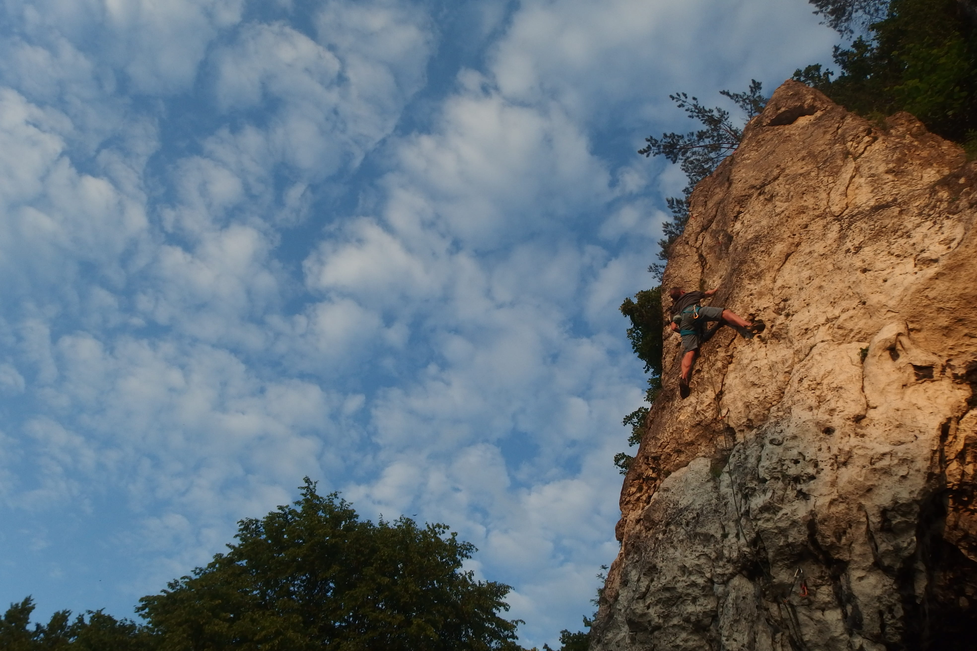cloud - sky, top, low angle view, bold, clouds, 4K, sport, climber, tree, extreme sports, steep, solid, extreme, the risk of, landscape, effort, real people, HD Wallpaper