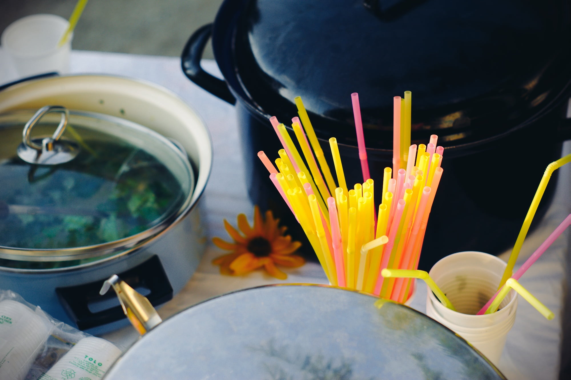 no people, flower head, plant, close-up, freshness, kettle, straw, cooking, flower, fragility, cup, place of worship, lunch, dinner, black, green, nature, HD Wallpaper