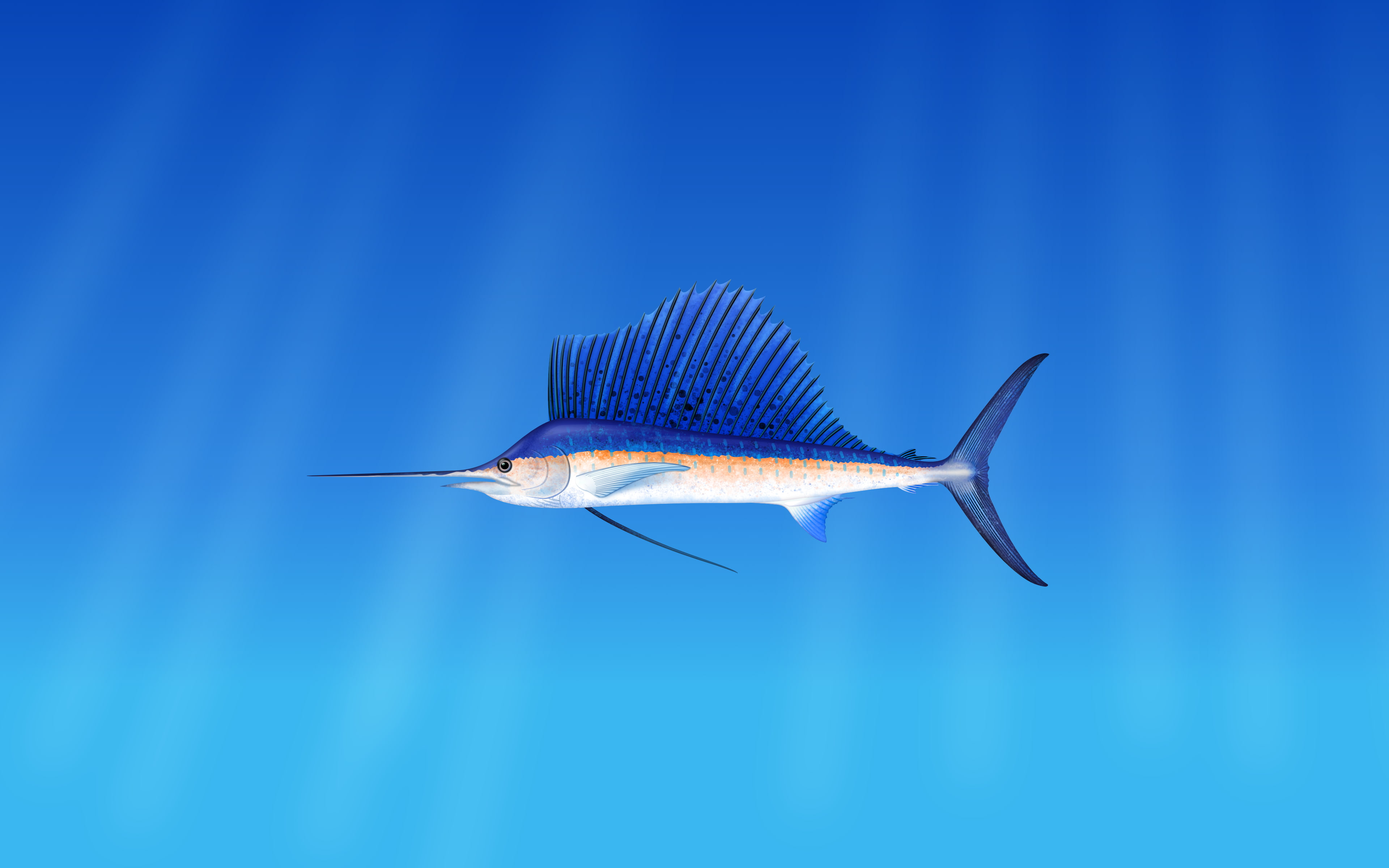 Stock, 4K, Deepin, Underwater, HD Wallpaper