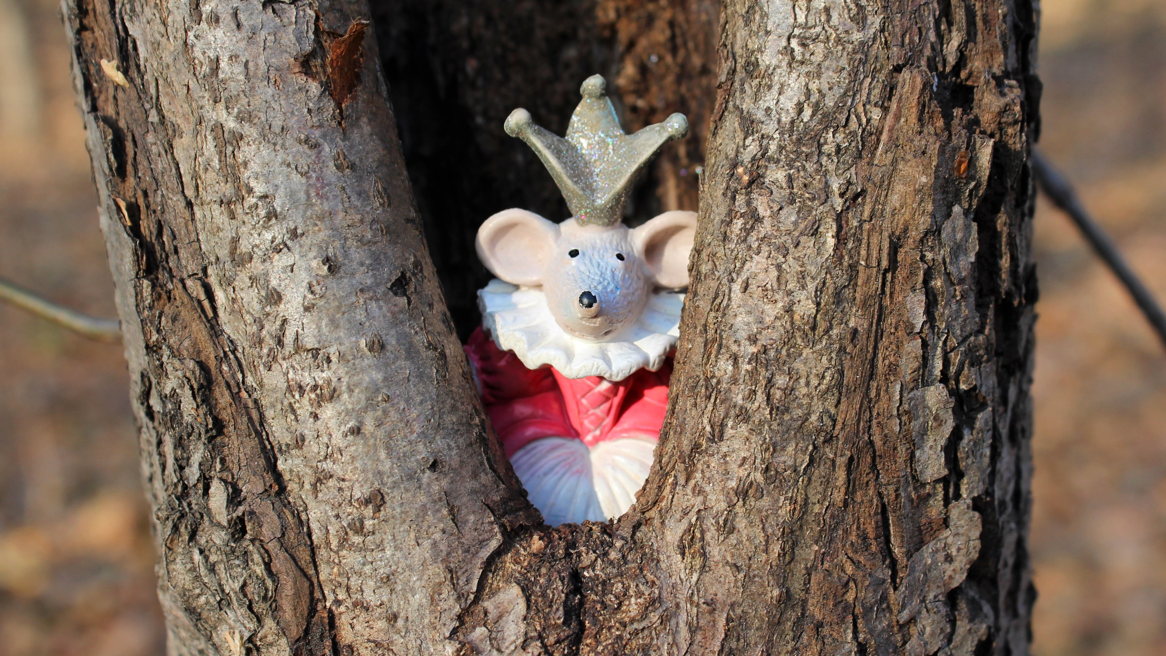 figure, crown, tree, trunk, look, St., muzzle, rat, 4K, toy, the hollow, Peeps, 2020, bark, Princess, symbol of the year, ears, rodent, mouse, Queen, Royal lady, HD Wallpaper