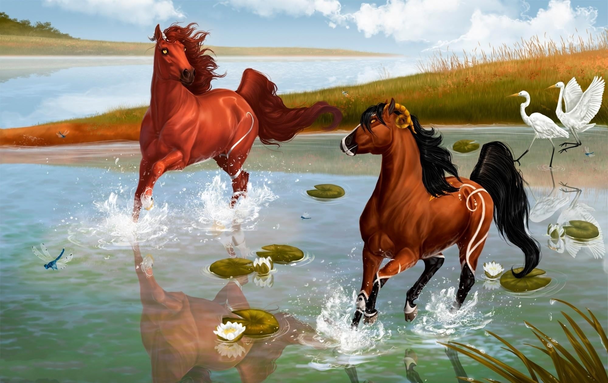 body, 1080P, group of animals, outdoors, running, summer, brown, pets, painting, horse, two animals, animal, steam, mare, two, domestic, day, herons, domestic animals, HD Wallpaper