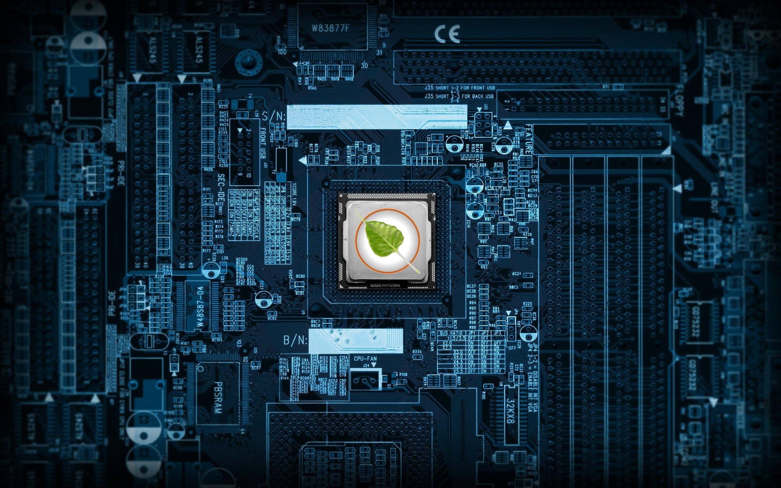 motherboards, bodhi, linux, 2K, HD Wallpaper
