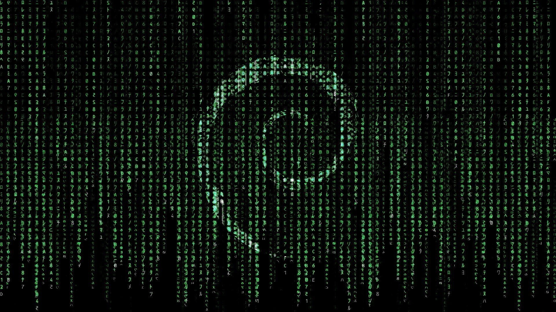 connection, communication, 1080P, computer network, technology, abstract, computer language, green color, black background, internet, computer, cyberspace, HD Wallpaper