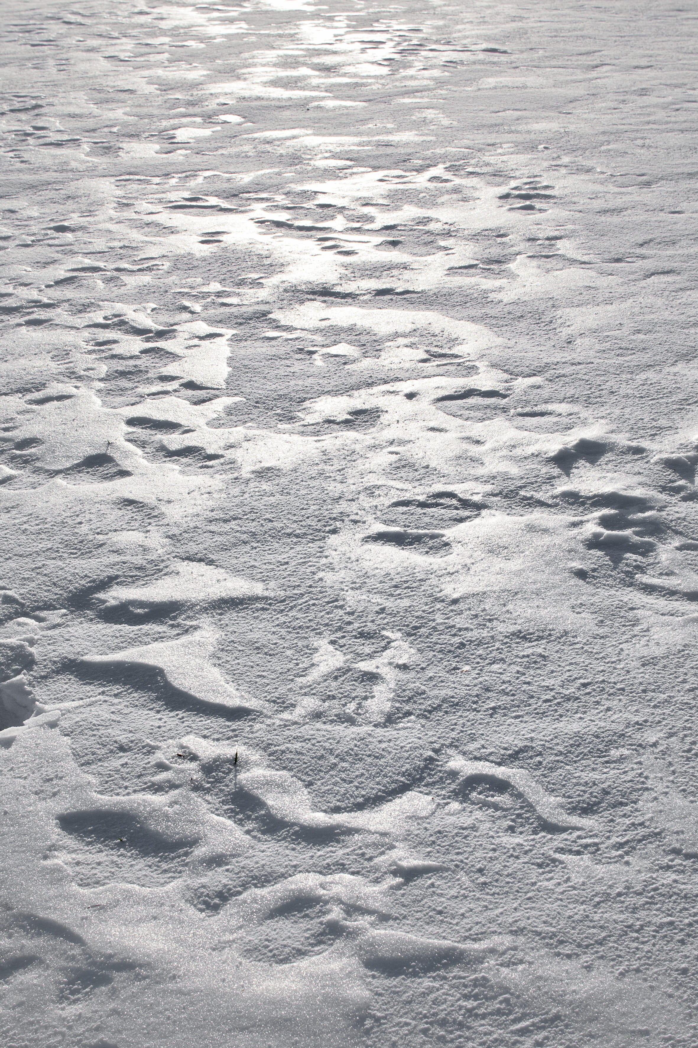 fund, environment, cold, snow, harsch, white, land, water, no people, tranquility, beauty in nature, cold temperature, pattern, winter, scenics - nature, Phone HD Wallpaper
