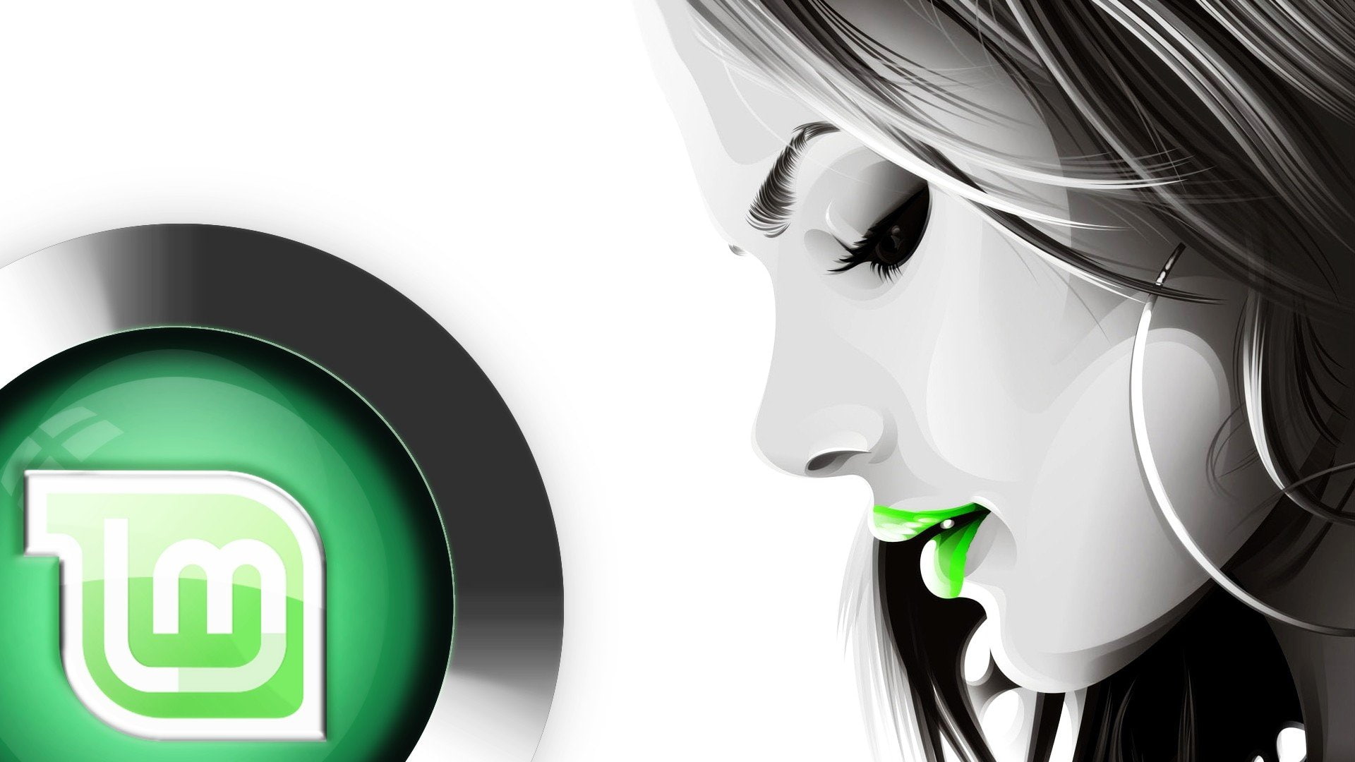mint, 1080P, linux, HD Wallpaper