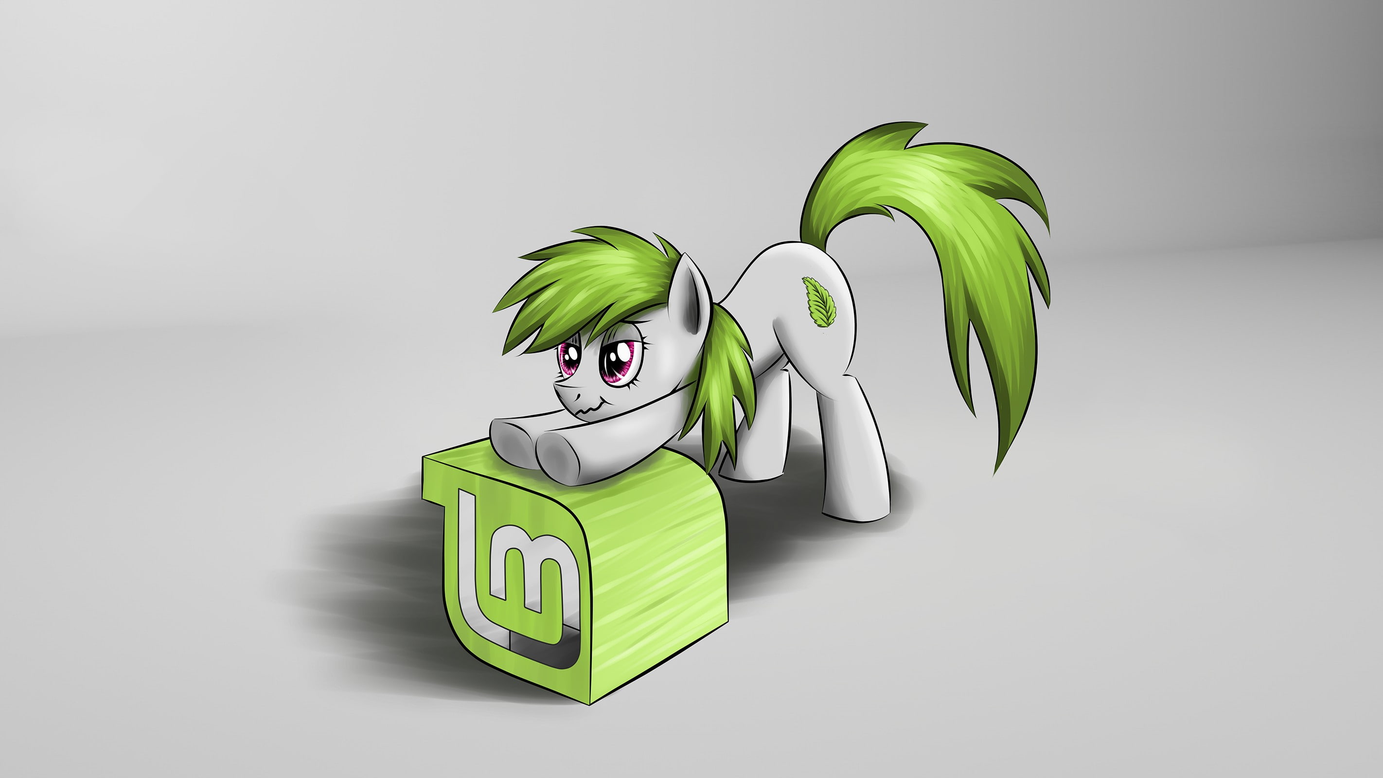 linux gnu linux mint my little pony, currency, food and drink, can, business, green color, gray, nature, investment, finance, recycling, creativity, indoors, HD Wallpaper