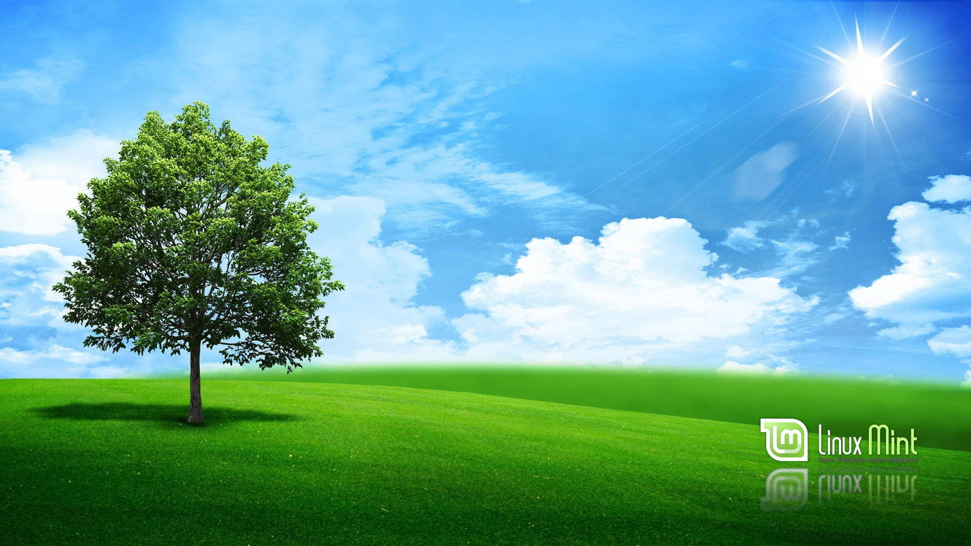 Linux, 1080P, Linux Mint, HD Wallpaper