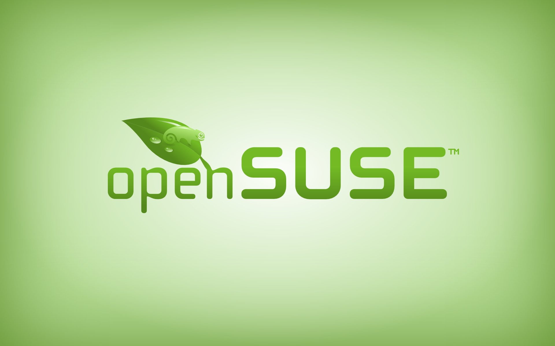 design, close-up, backgrounds, studio shot, open, green, capital letter, logo, copy space, sign, suse, western script, Linux, text, green background, message, HD Wallpaper