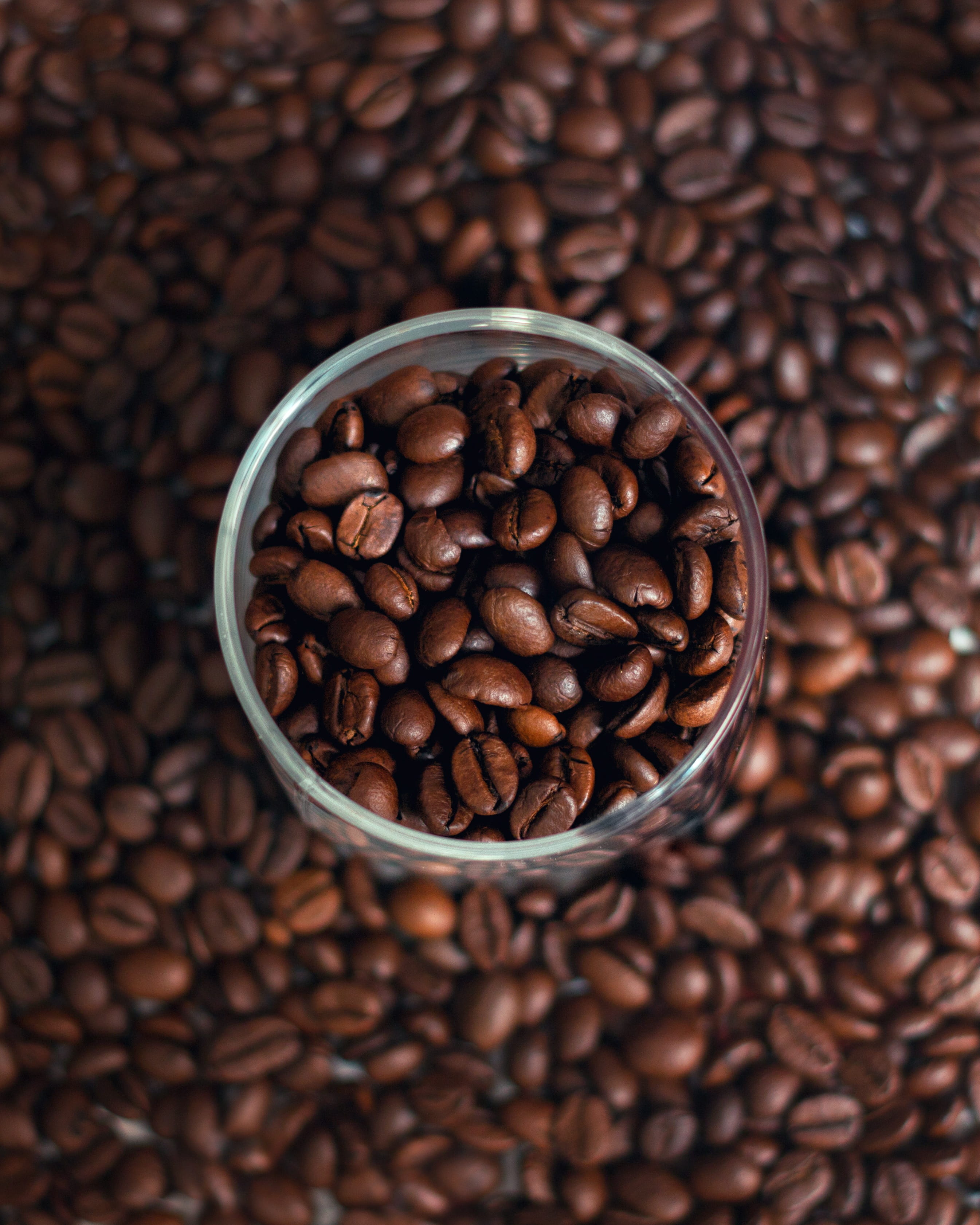 roasted coffee bean, drink, large group of objects, morning, food and drink, coffee, indoors, roasted, cup, brown, high angle view, 2K, kernel, food, no people, Phone HD Wallpaper