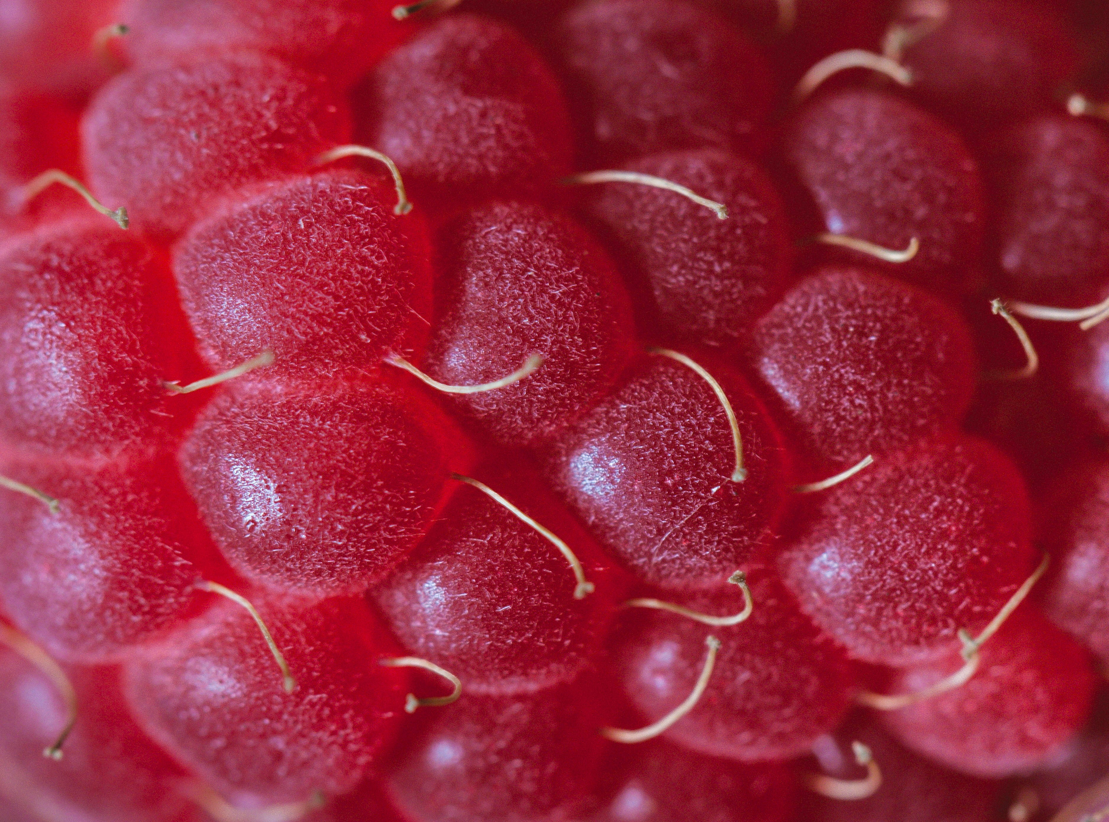 large group of objects, fruit, freshness, wellbeing, still life, backgrounds, selective focus, organic, red, abundance, healthy eating, 2K, full frame, HD Wallpaper