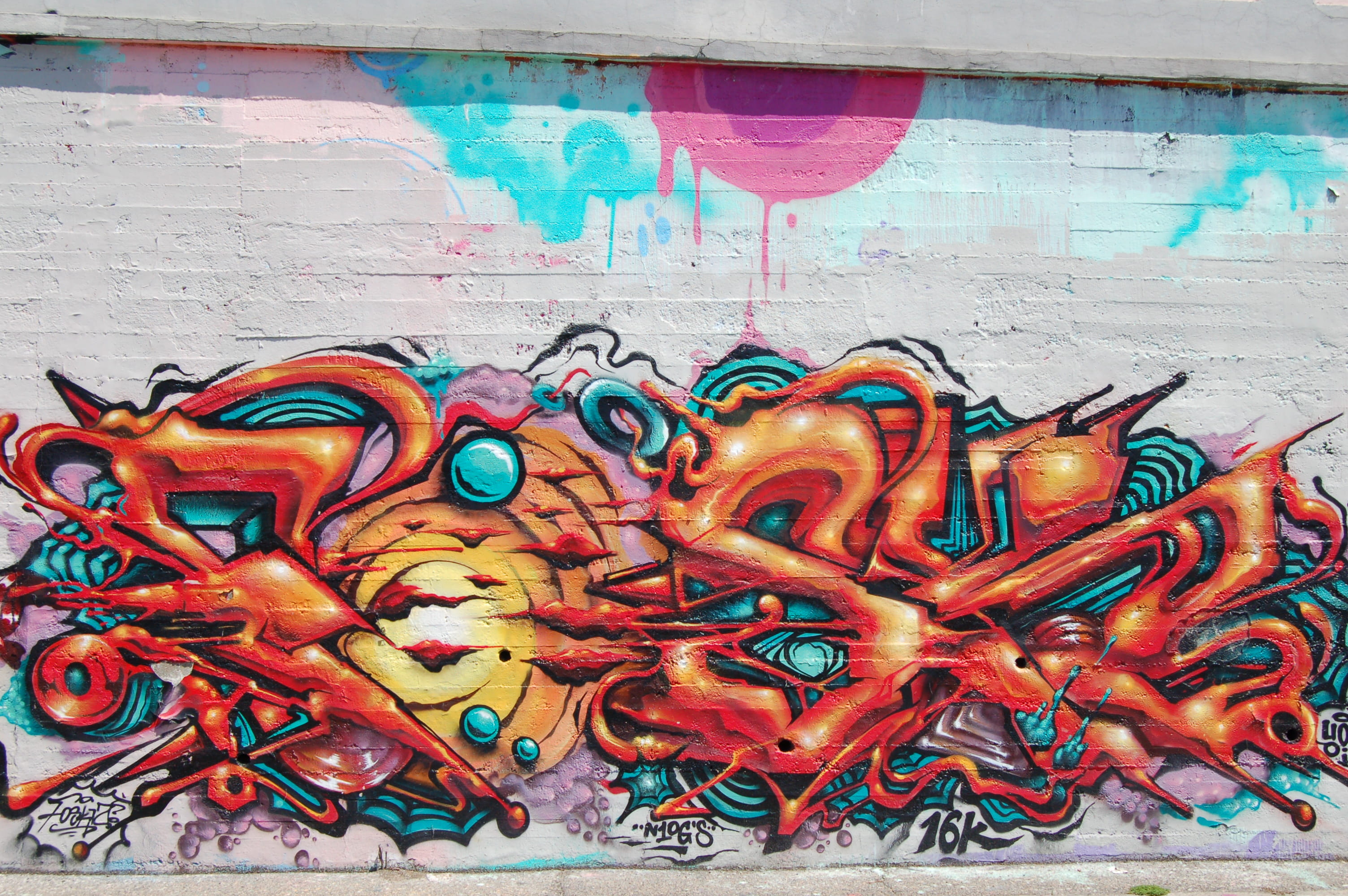 flower, wall - building feature, holiday, artwork, leaf, craft, graffiti, texture, wall, table, currency, graphic, old, graffito, multi colored, decorative, HD Wallpaper