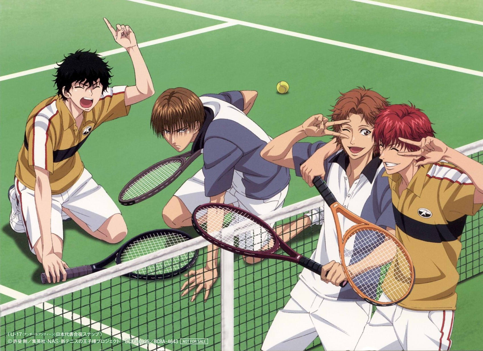 tennis, new, prince, 720P, HD Wallpaper