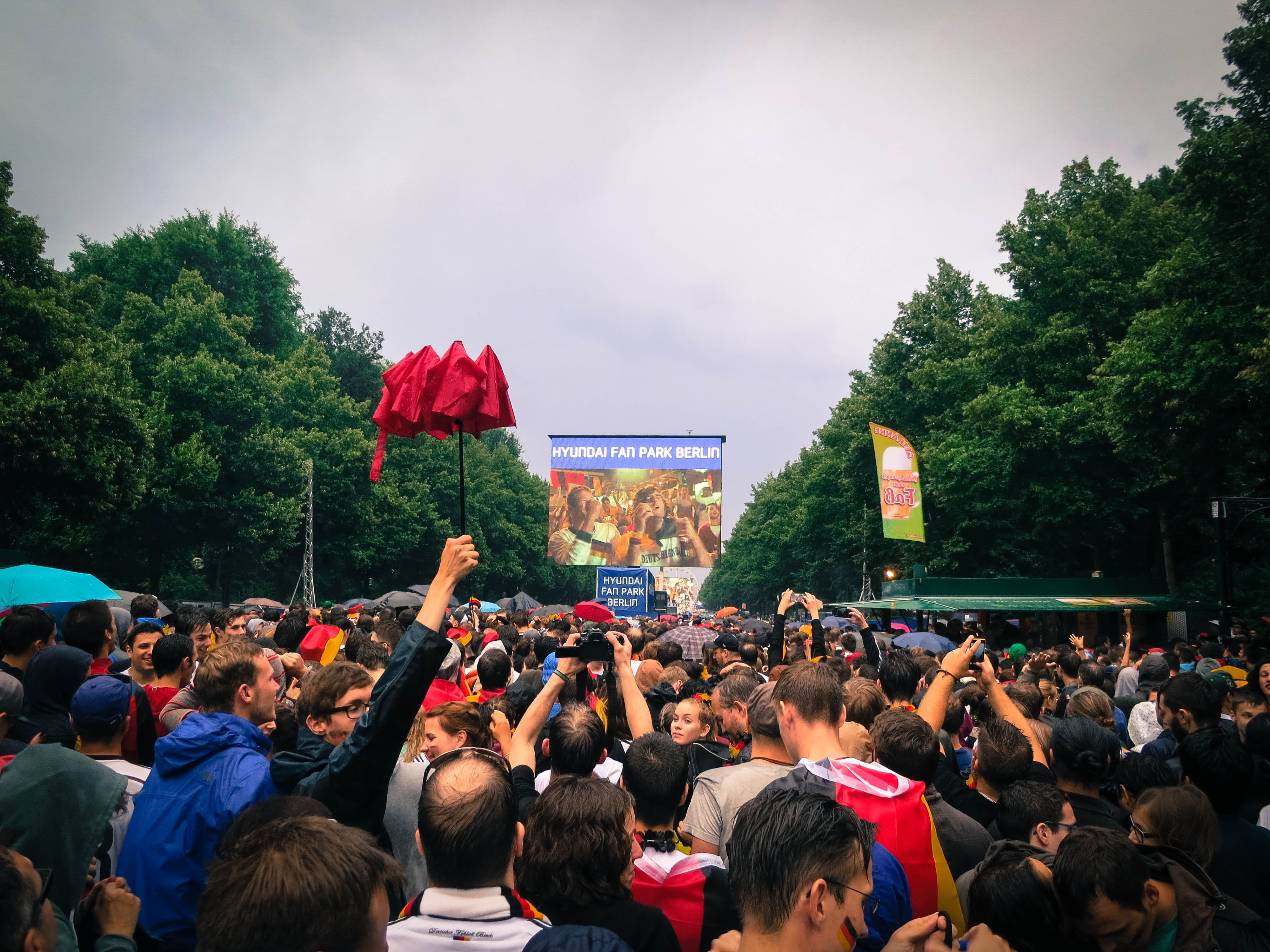 spectator, world cup, tree, nature, concert, cheering, stage, celebration, spectators, day, lifestyles, festival, finals, people, team, outdoors, 4K, group of people, HD Wallpaper