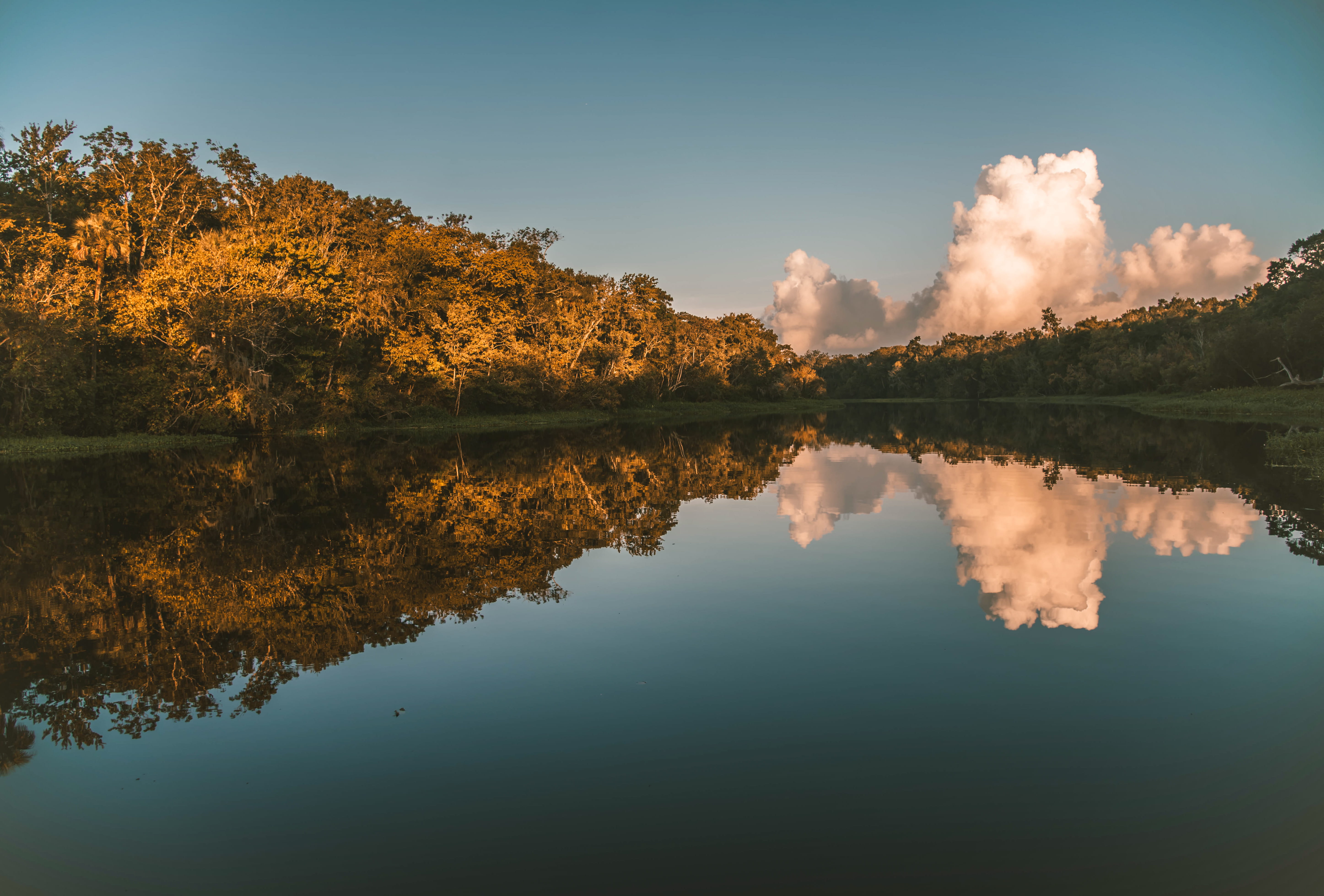 non-urban scene, reflection, idyllic, no people, cloud - sky, water, standing water, trees, tranquil scene, river, 5K, refection, tree, beauty in nature, HD Wallpaper